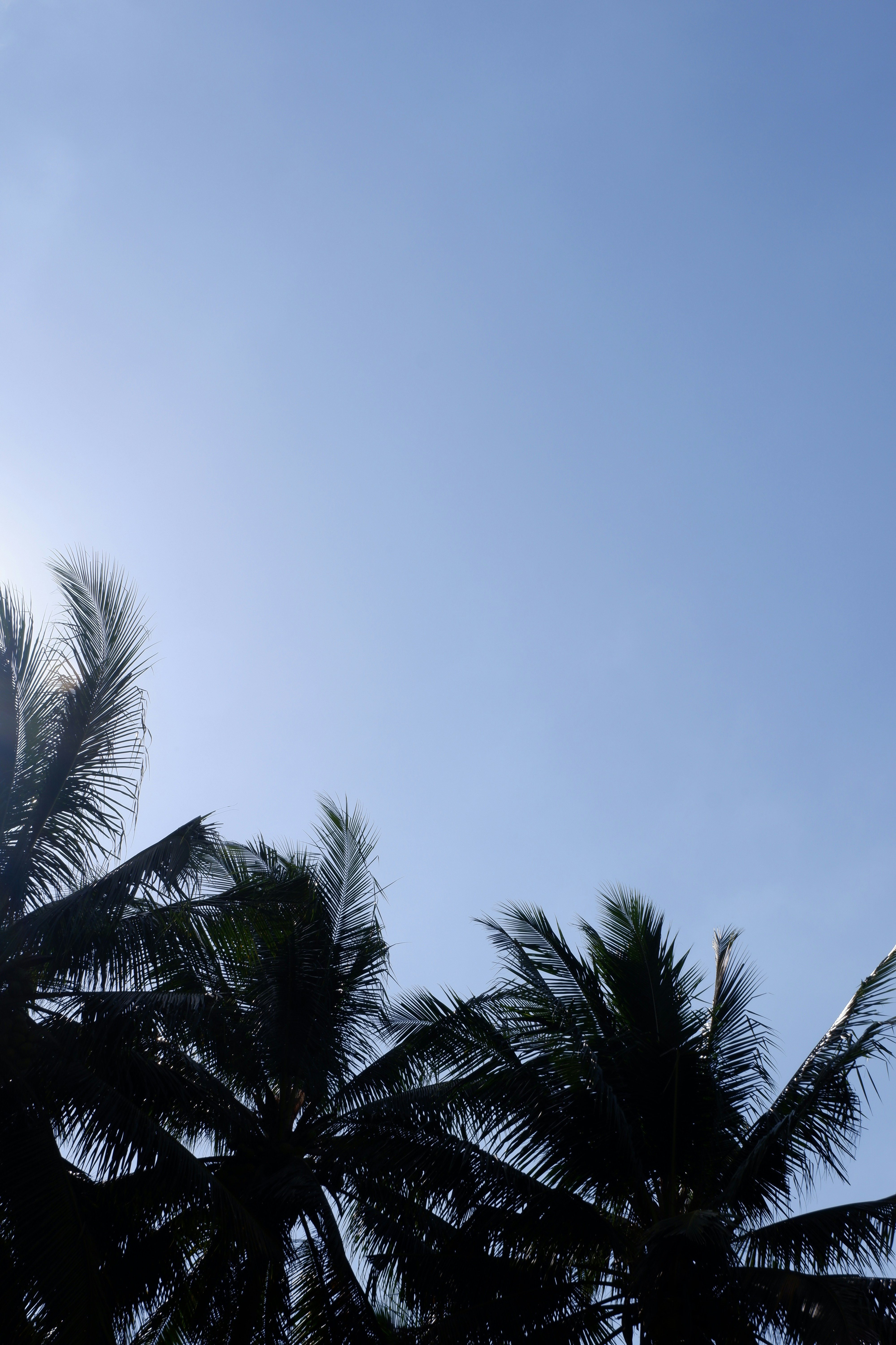 Photo by jepretualang