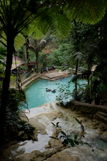 A small pool surrounded by trees and water