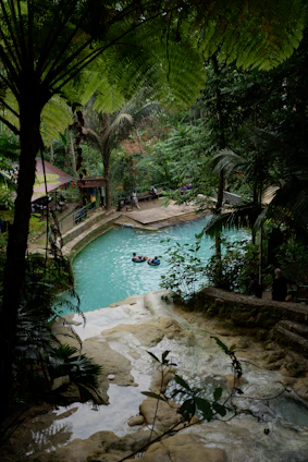 A small pool surrounded by trees and water