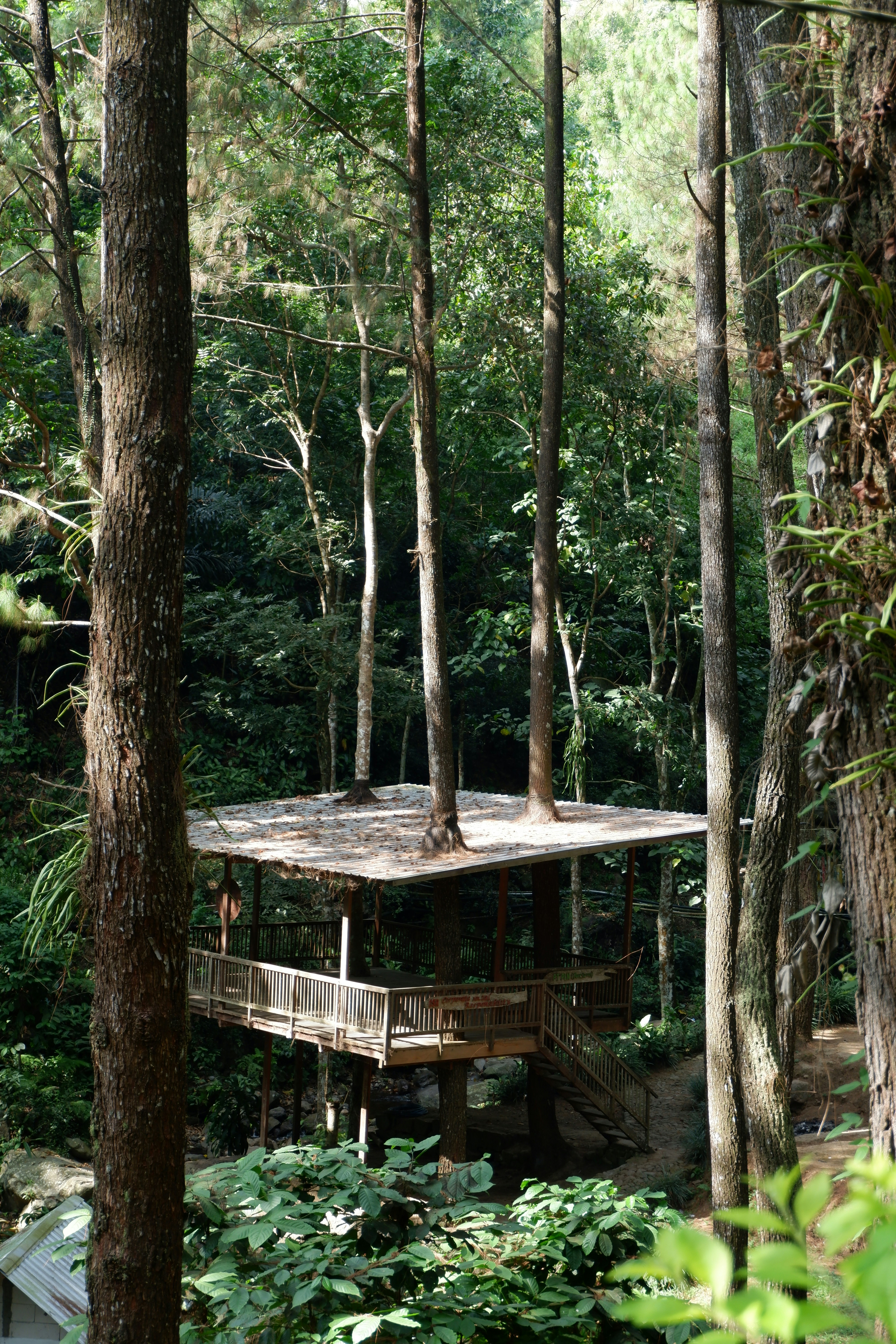 Photo by jepretualang