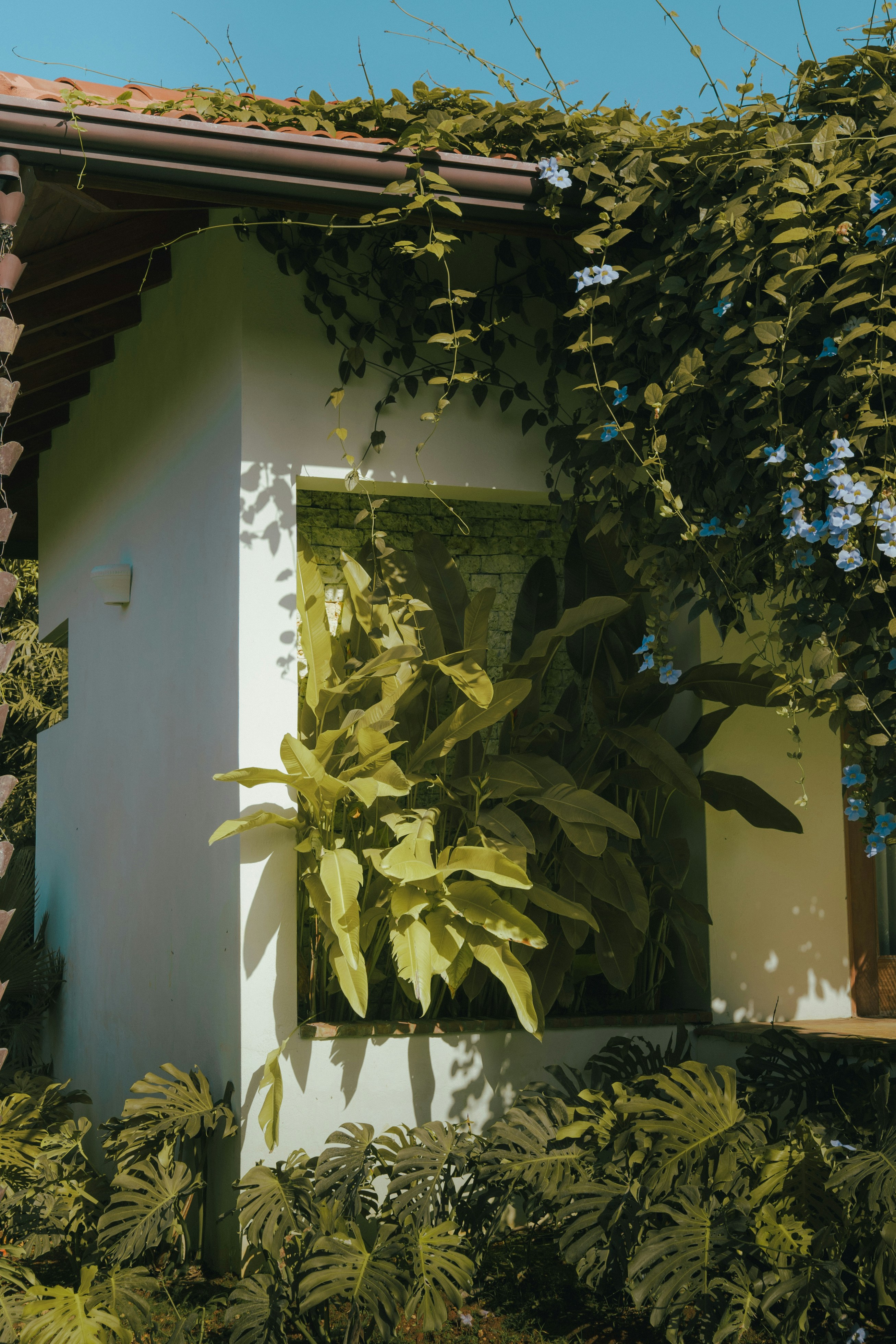 Photo by ubierajosias