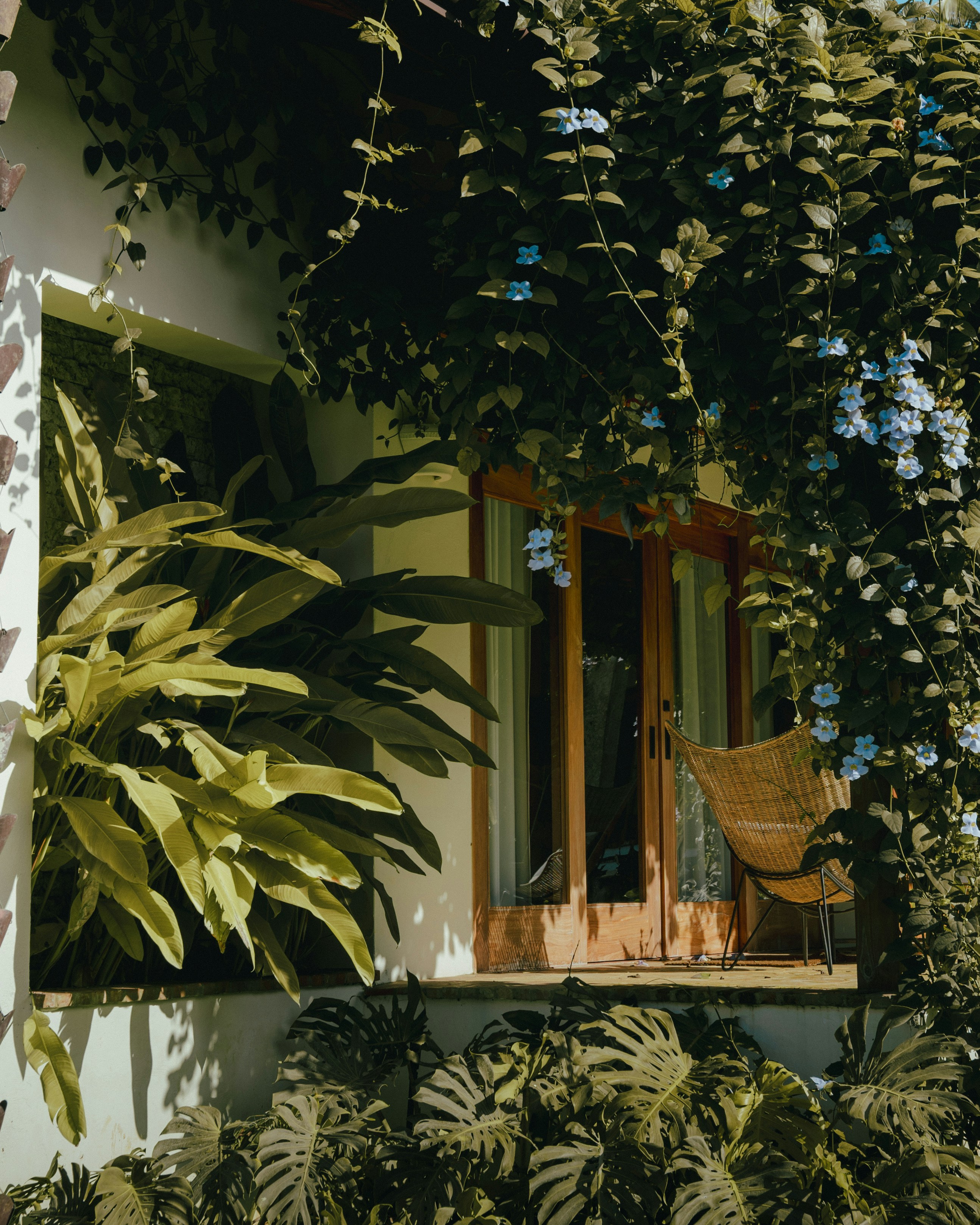 Photo by ubierajosias