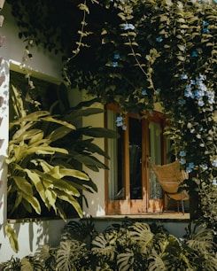 A house that has a lot of plants on the outside of it
