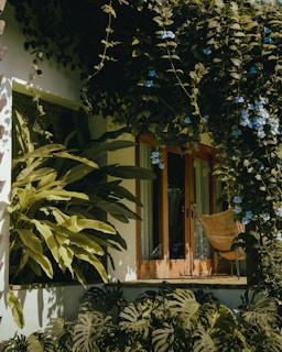 A house that has a lot of plants on the outside of it