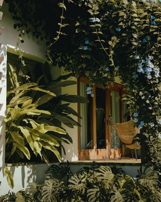A house that has a lot of plants on the outside of it