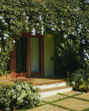 A house covered in vines with a door