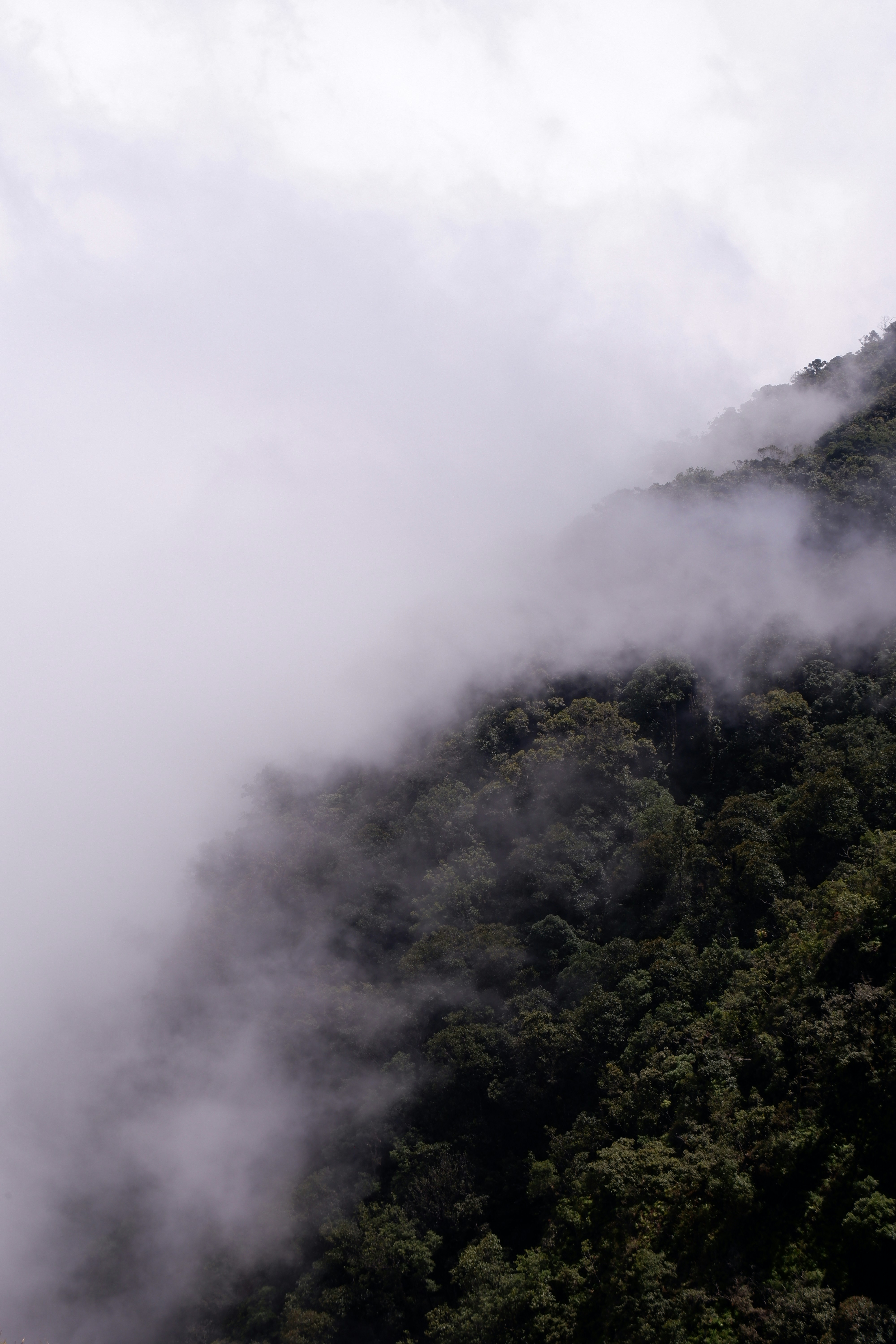 Photo by jepretualang