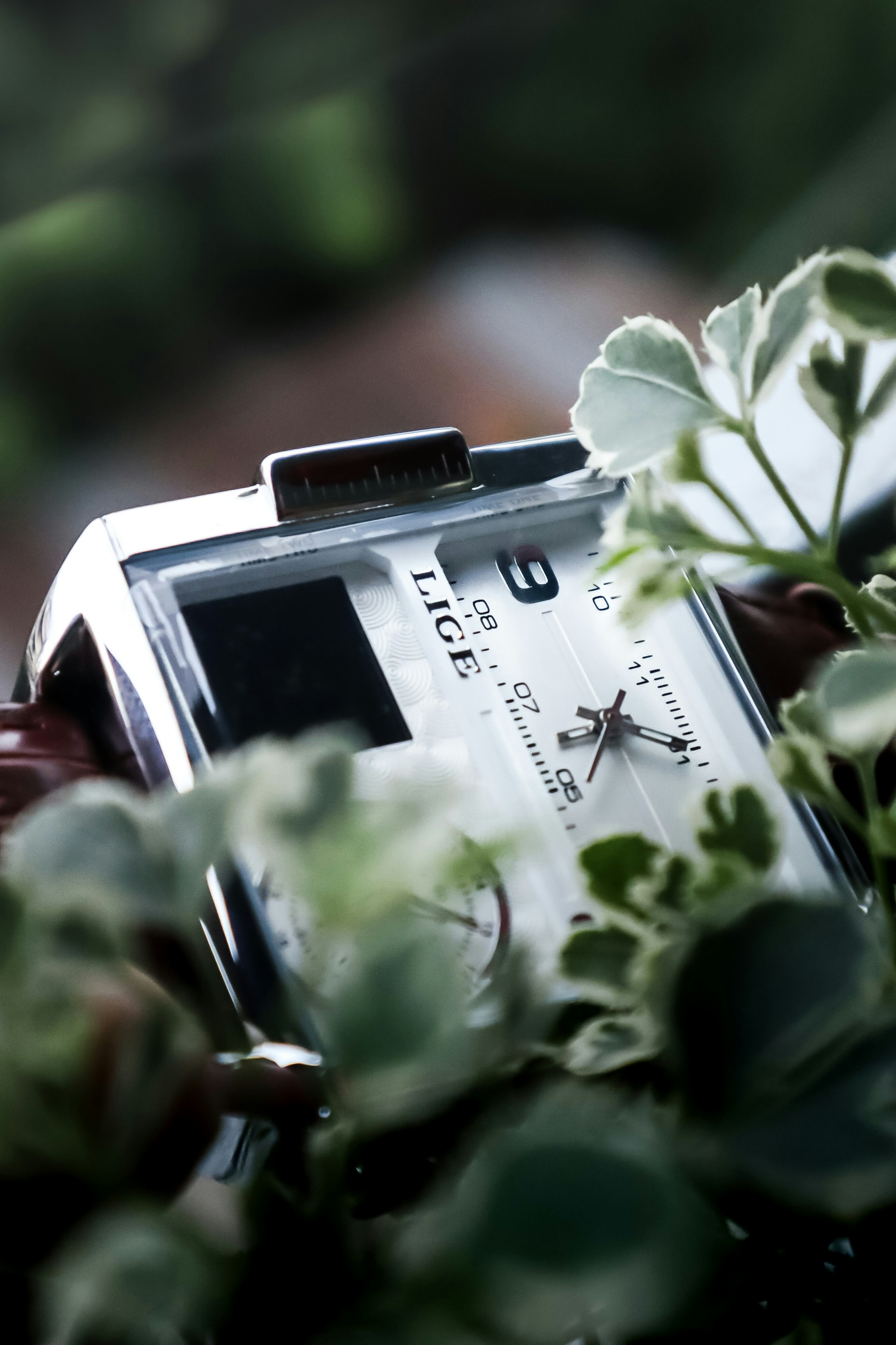 A close up of a watch on a plant