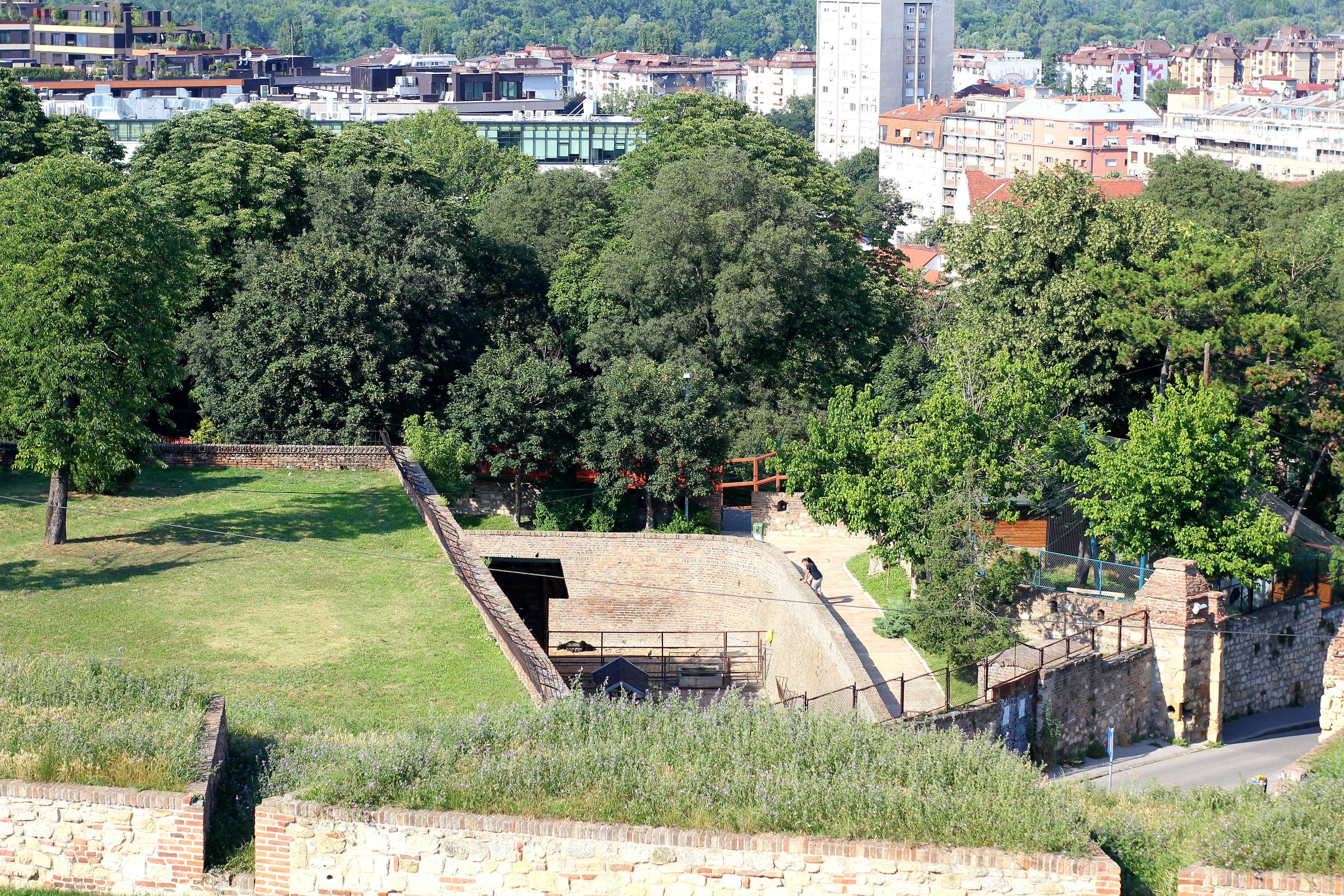 A view of a city from a hill