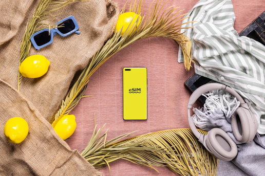 /esim vs roaming vs pocket wifi vs local sim