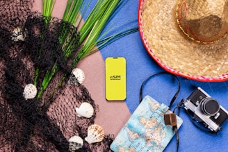 A hat, camera, cell phone, and other items are laid out on a
