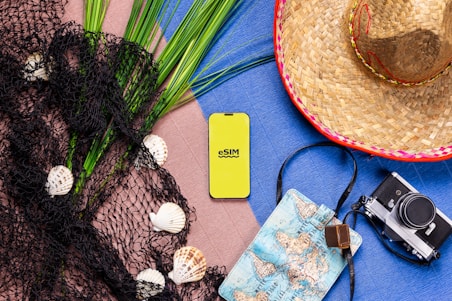 A hat, camera, cell phone, and other items are laid out on a