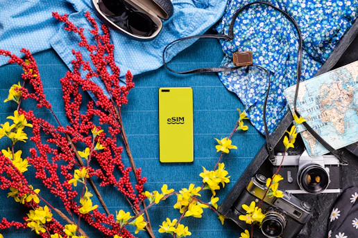 A bunch of items that are on a table