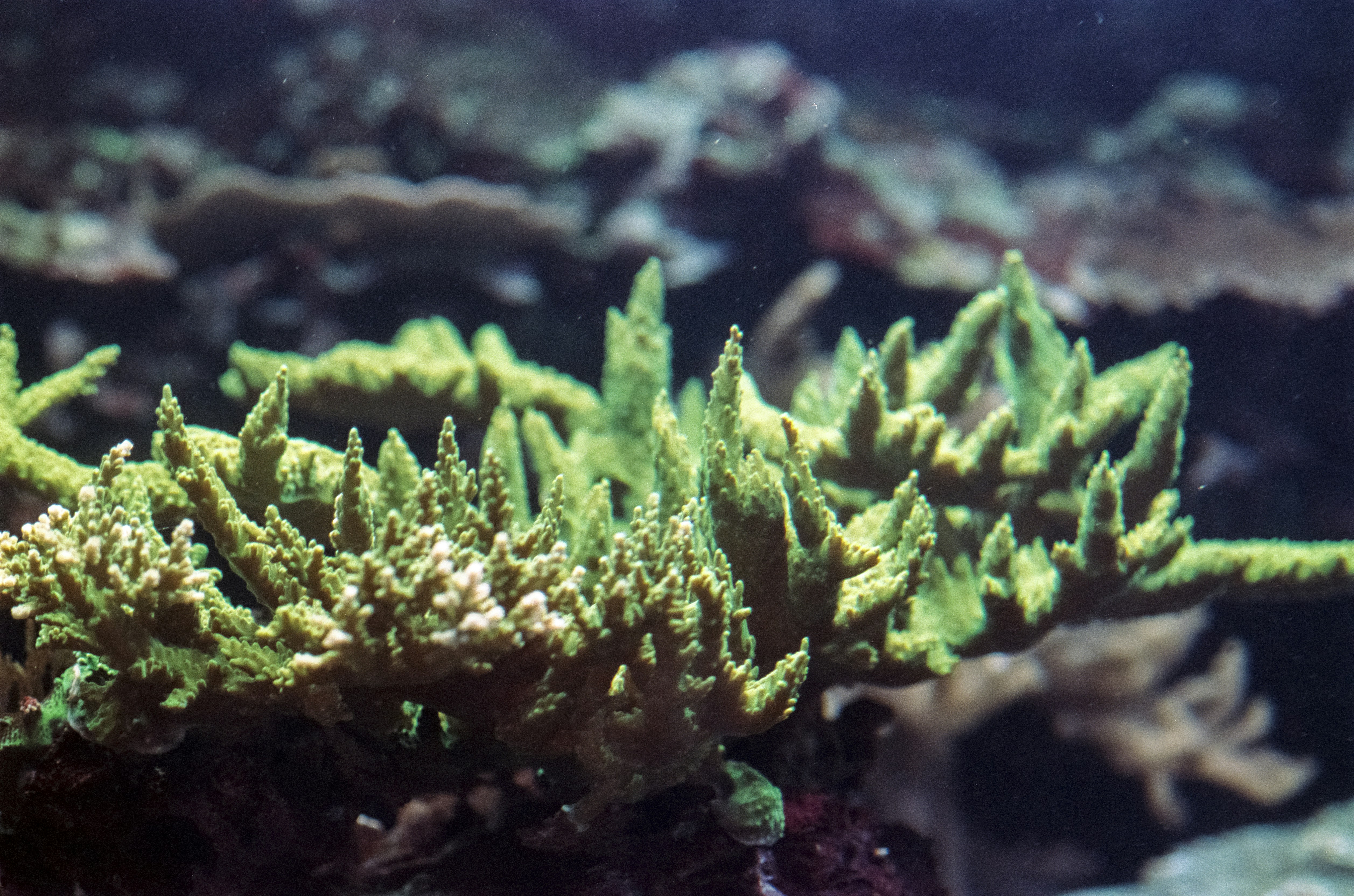 Photo by artistseyes