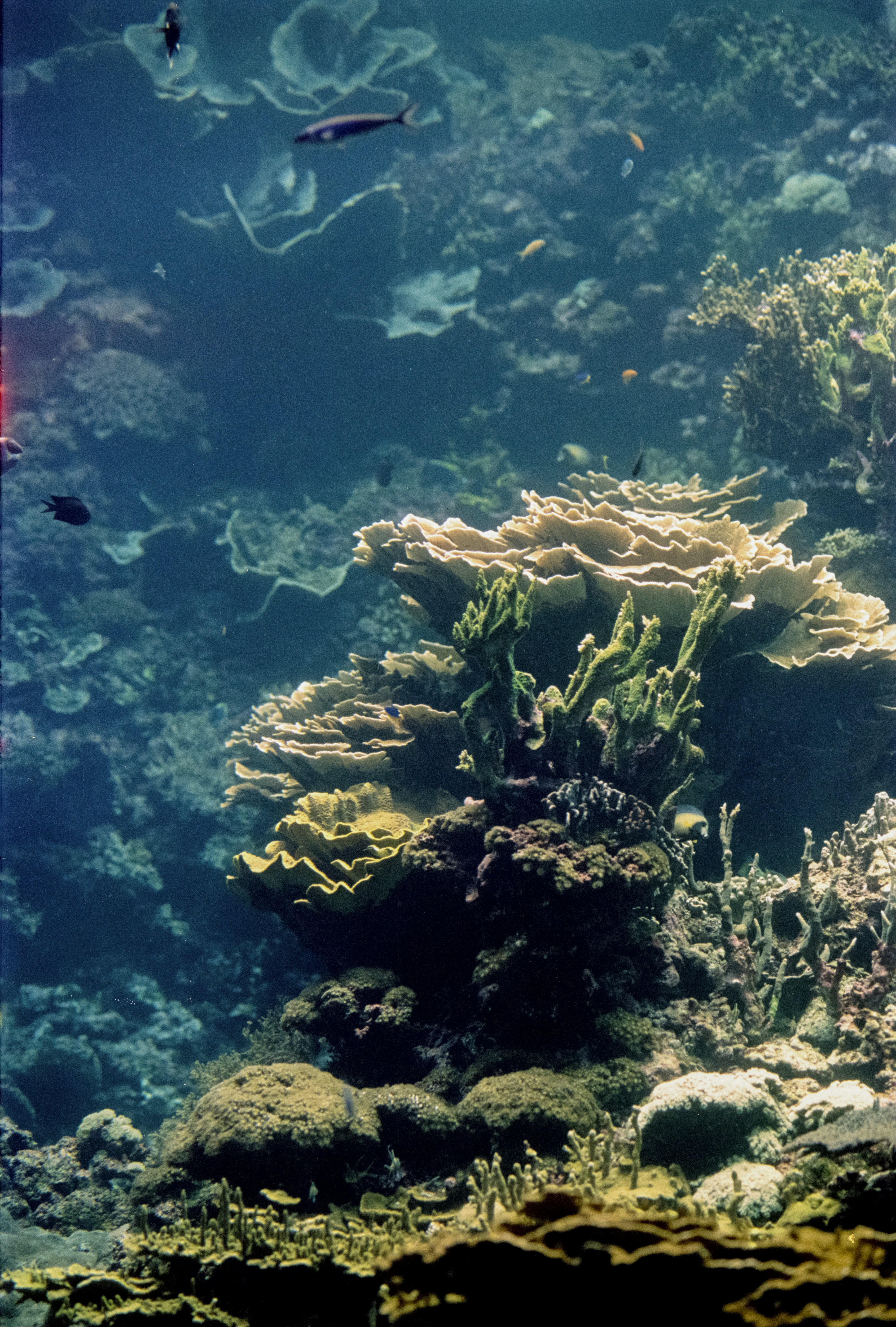 Photo by artistseyes