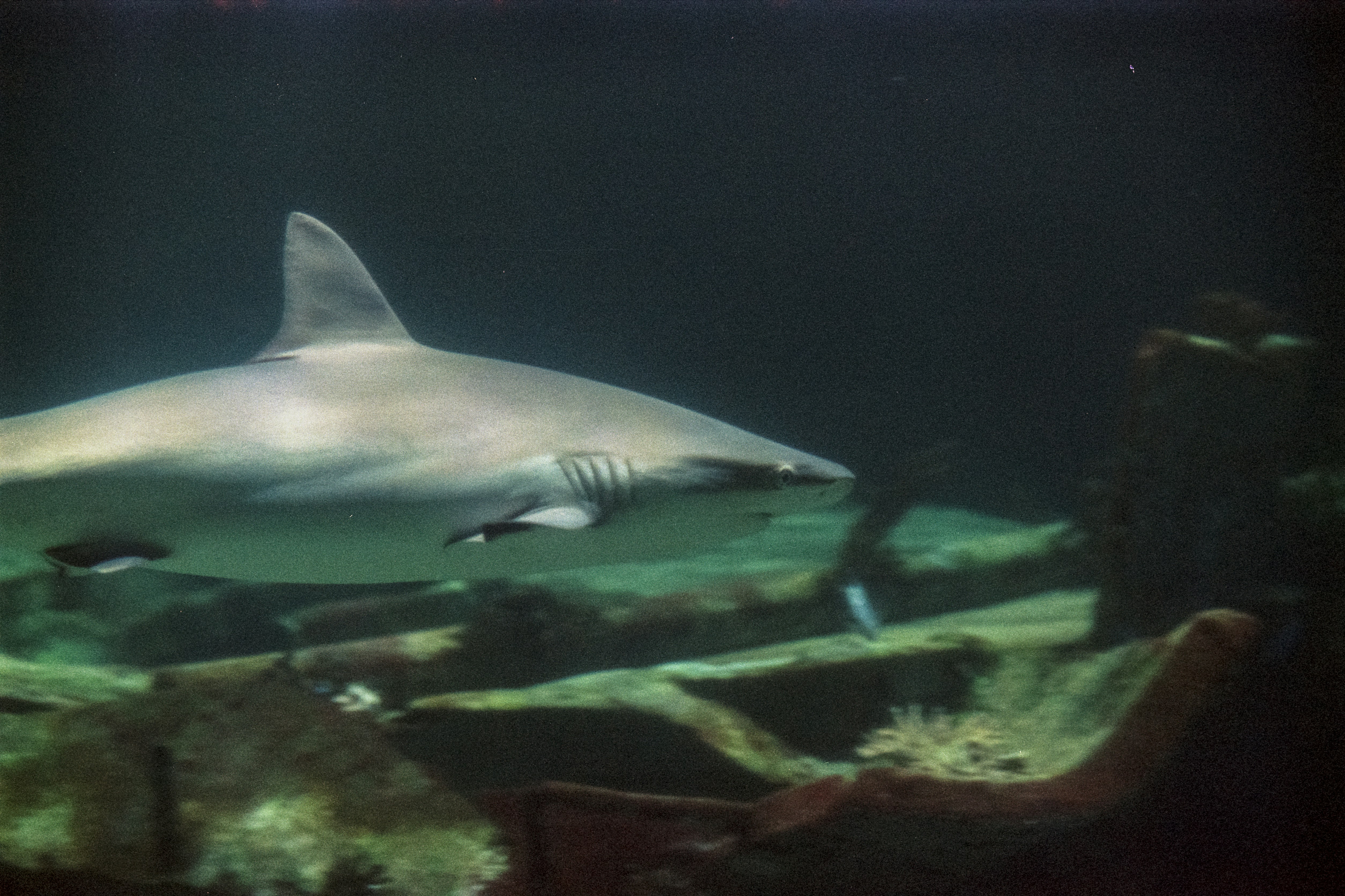 Photo by artistseyes