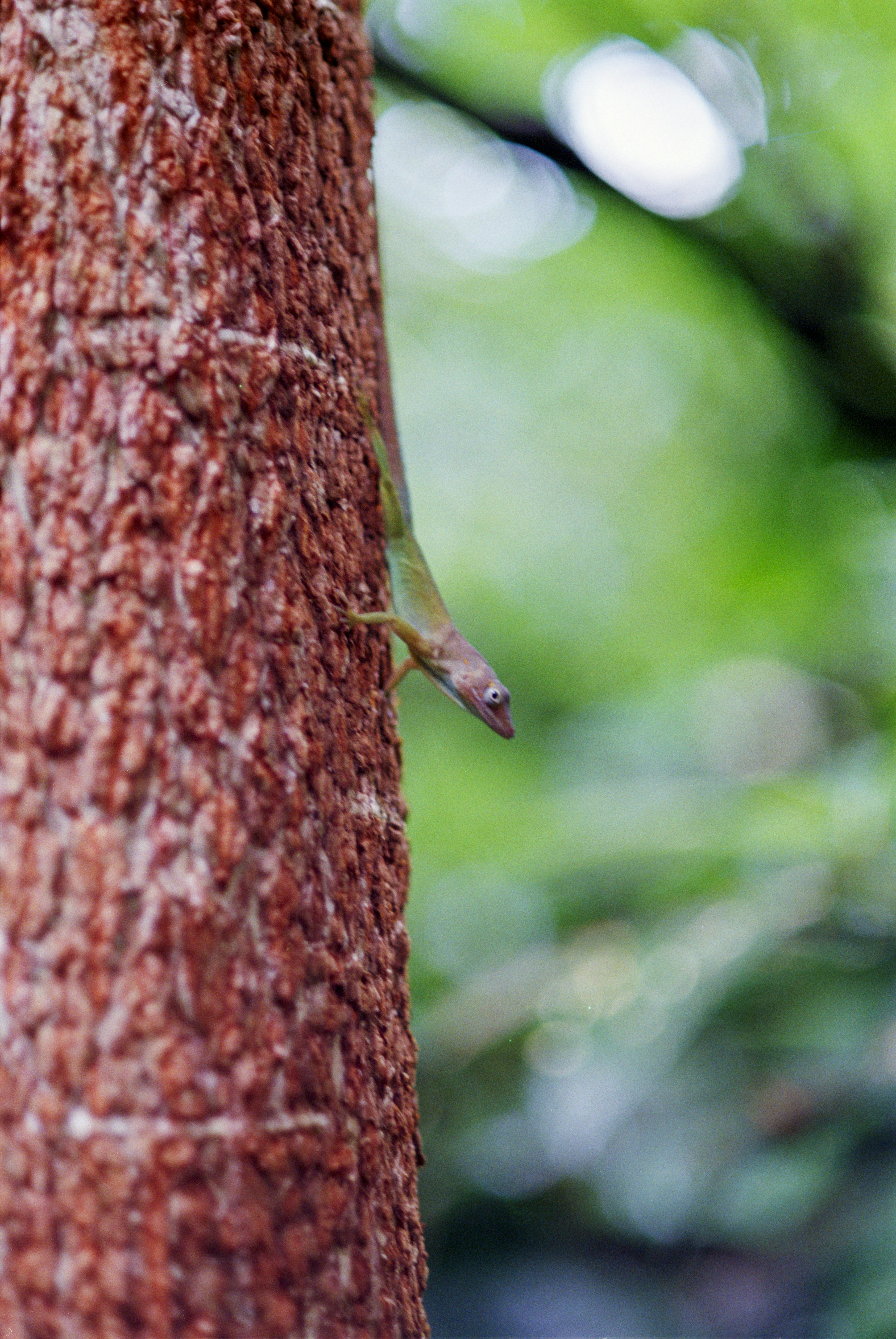 Photo by artistseyes