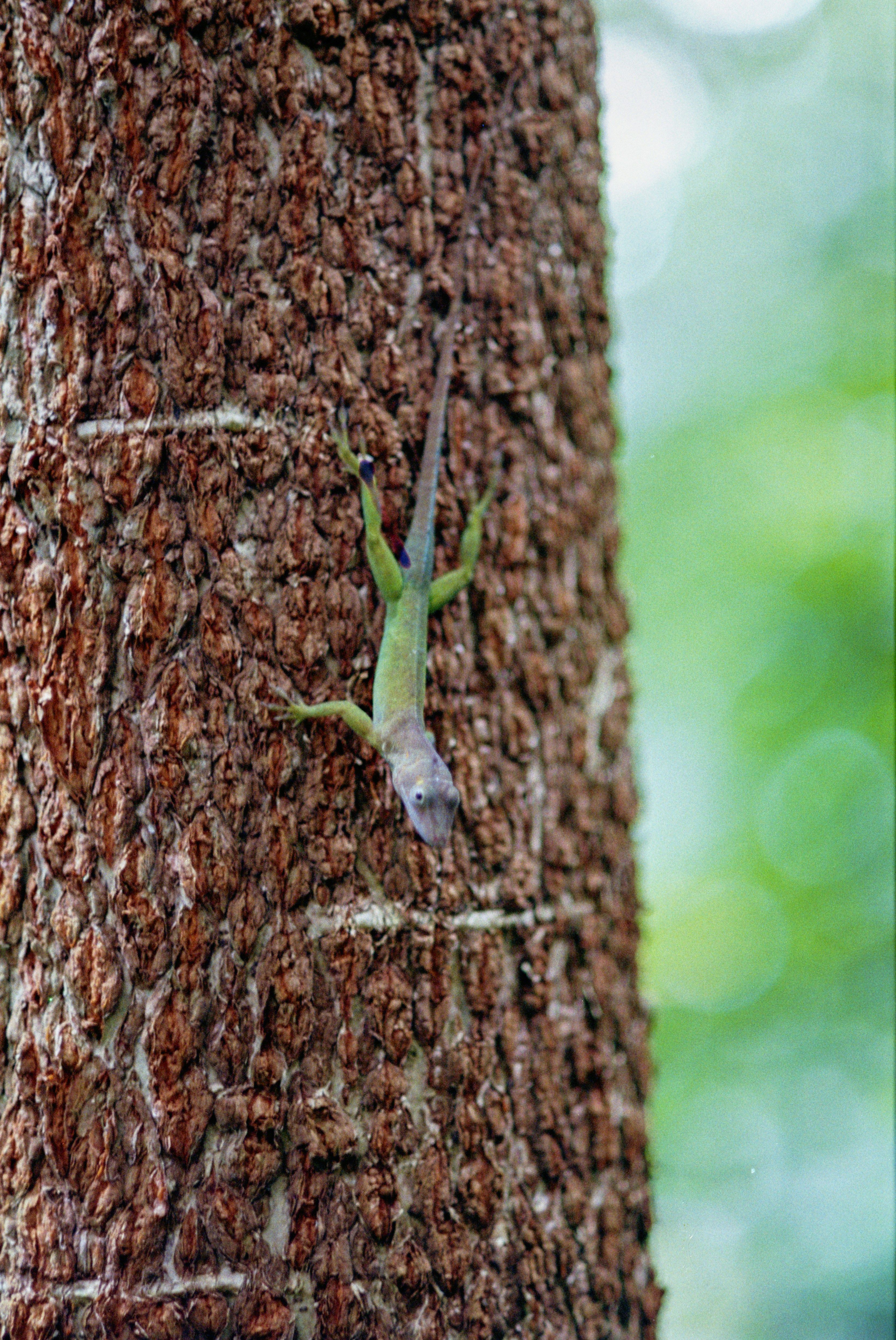 Photo by artistseyes