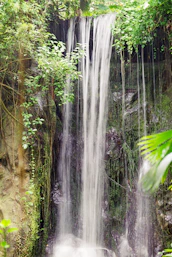 A waterfall in the middle of a jungle