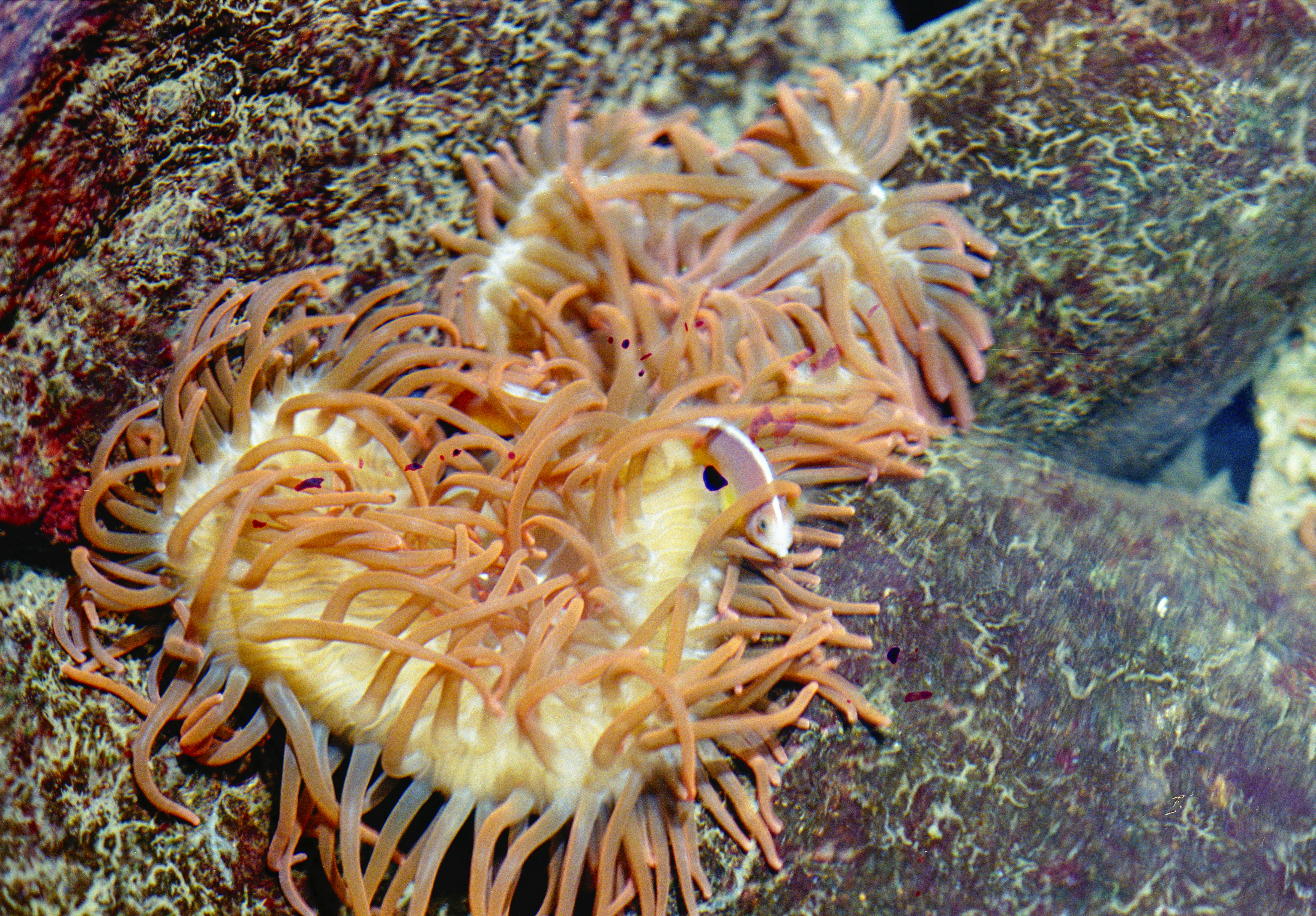 Photo by artistseyes