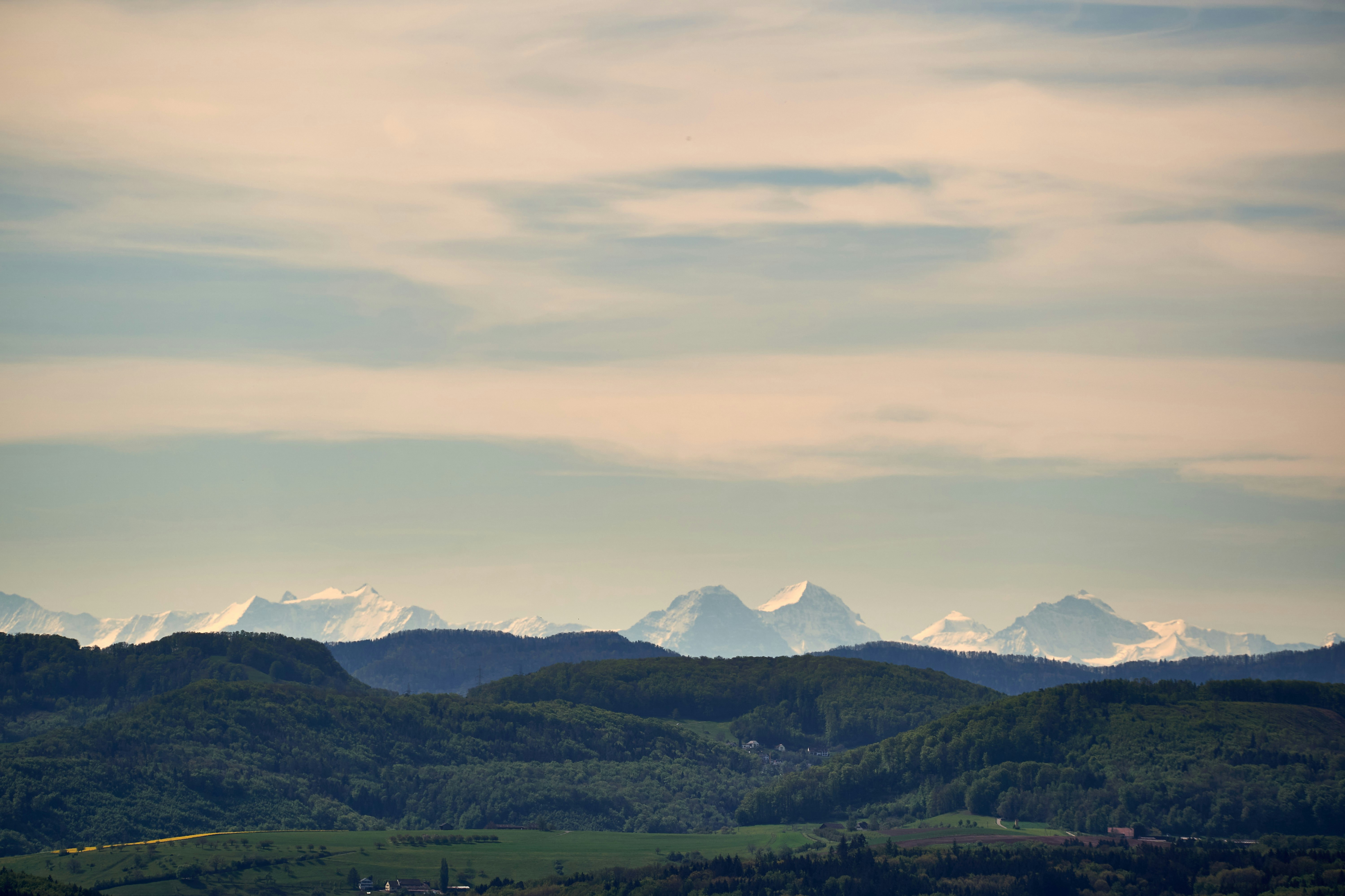 Photo by wolfgang_hasselmann