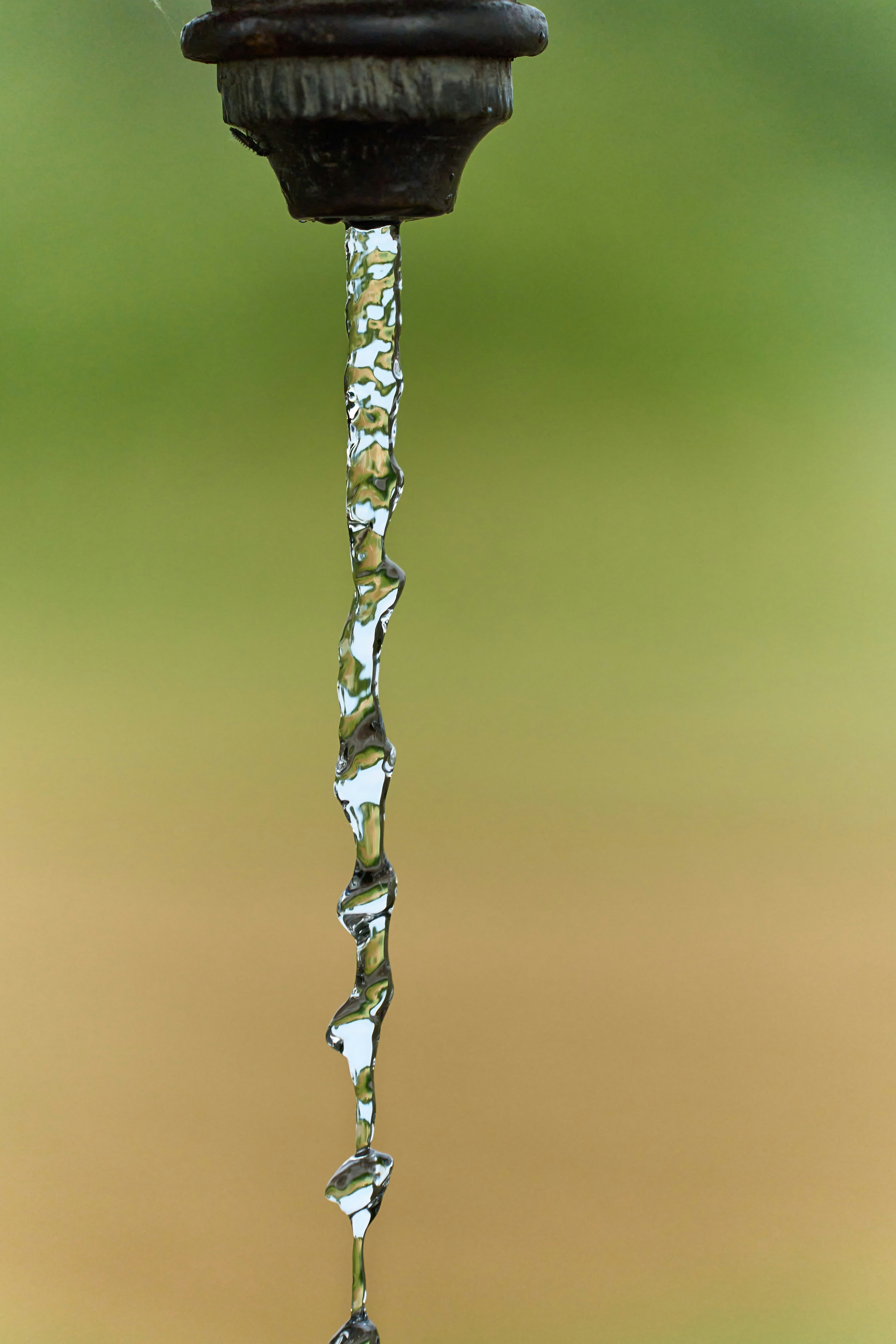 Photo by wolfgang_hasselmann