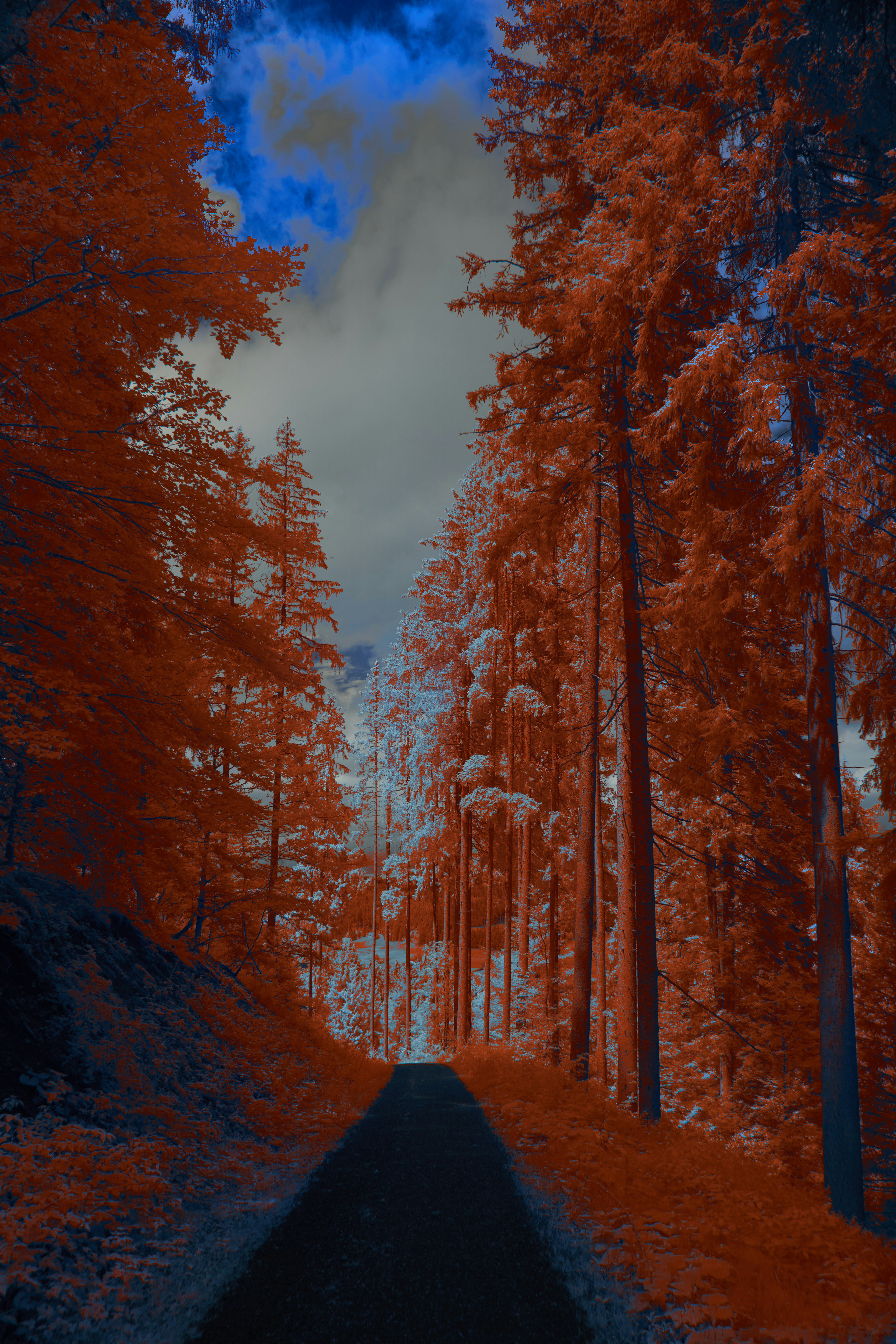 Photo by wolfgang_hasselmann