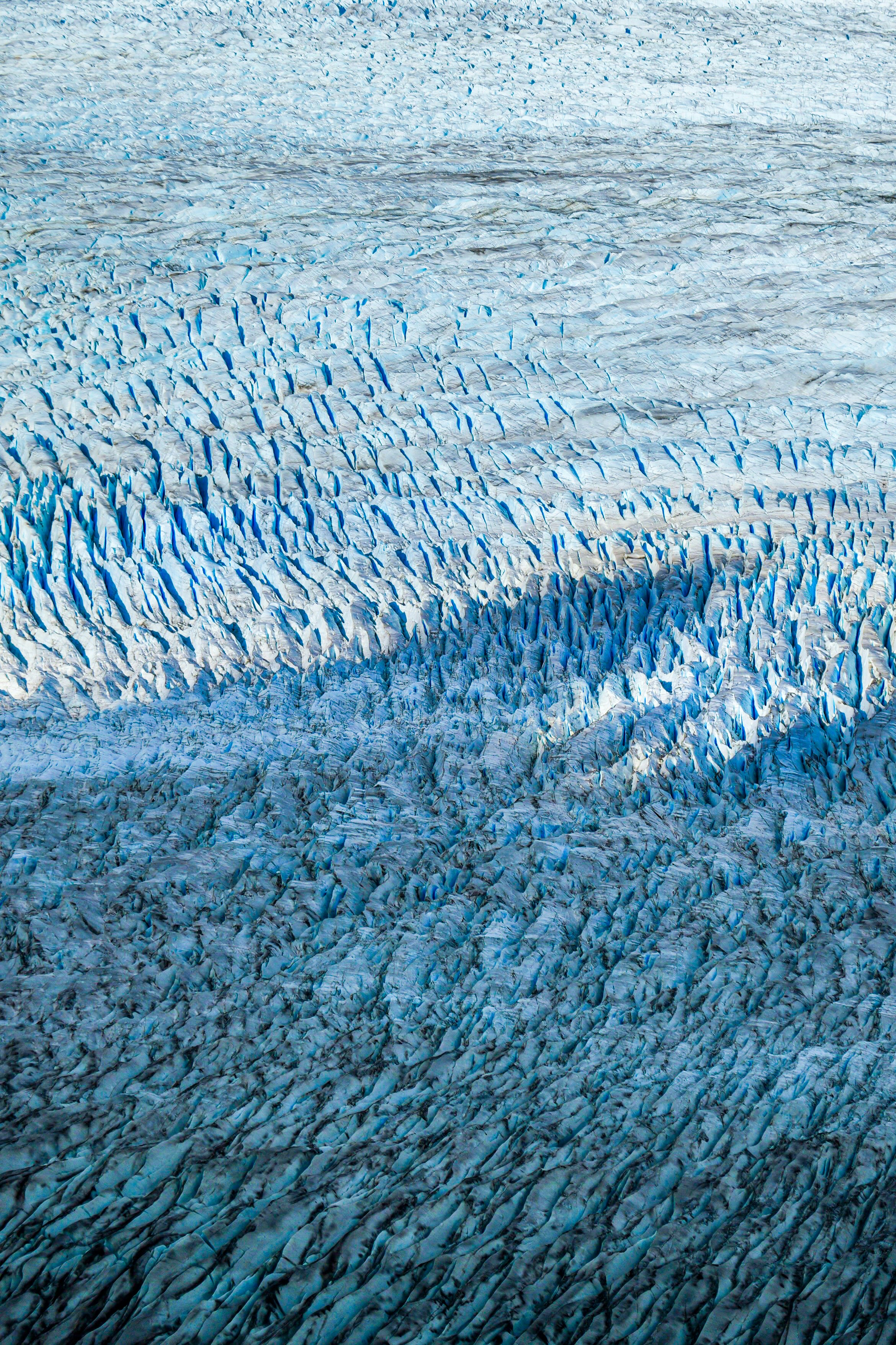 Photo by carter_obasohan