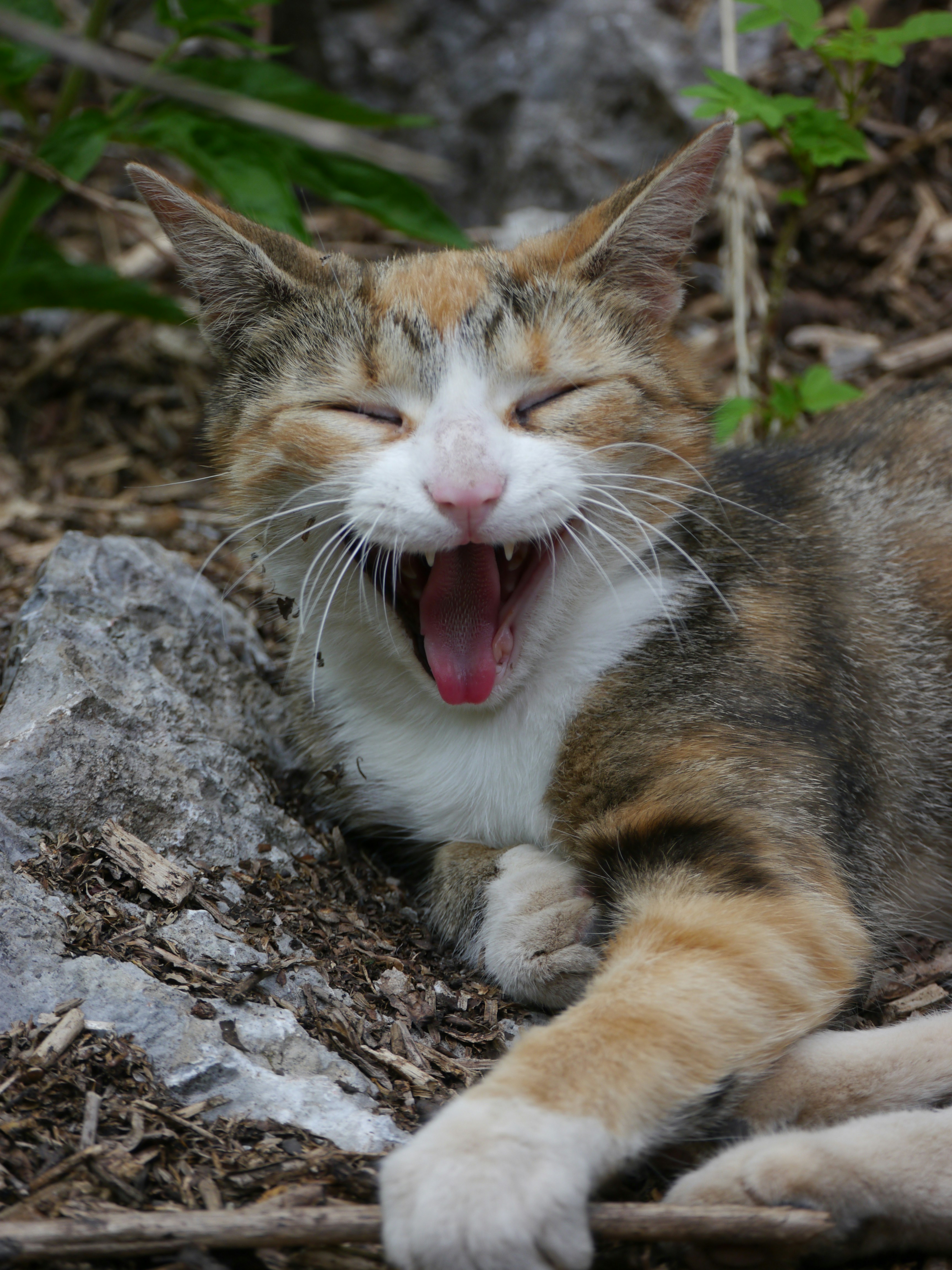 Photo by iqsphotography