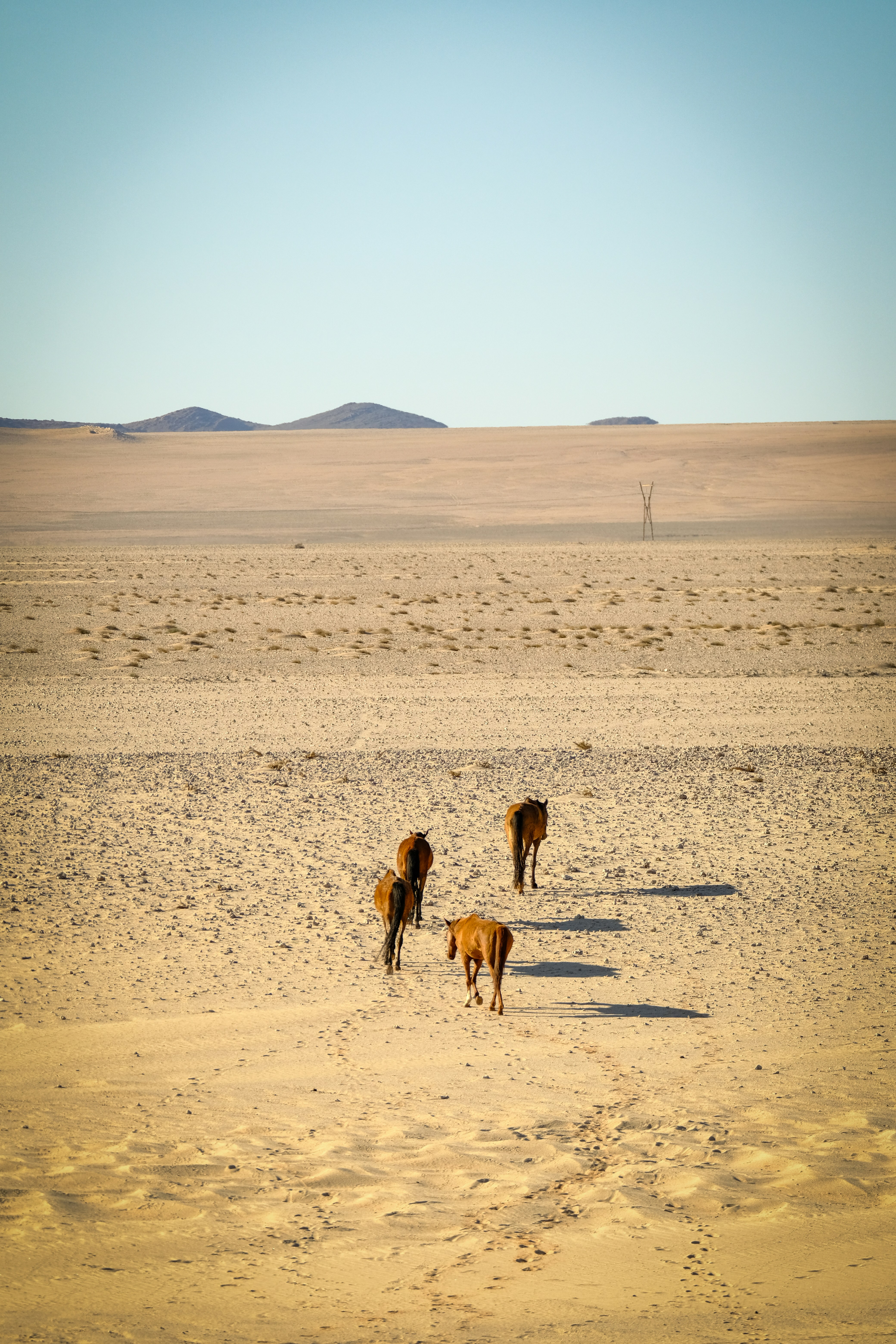 Photo by francesco_ungaro