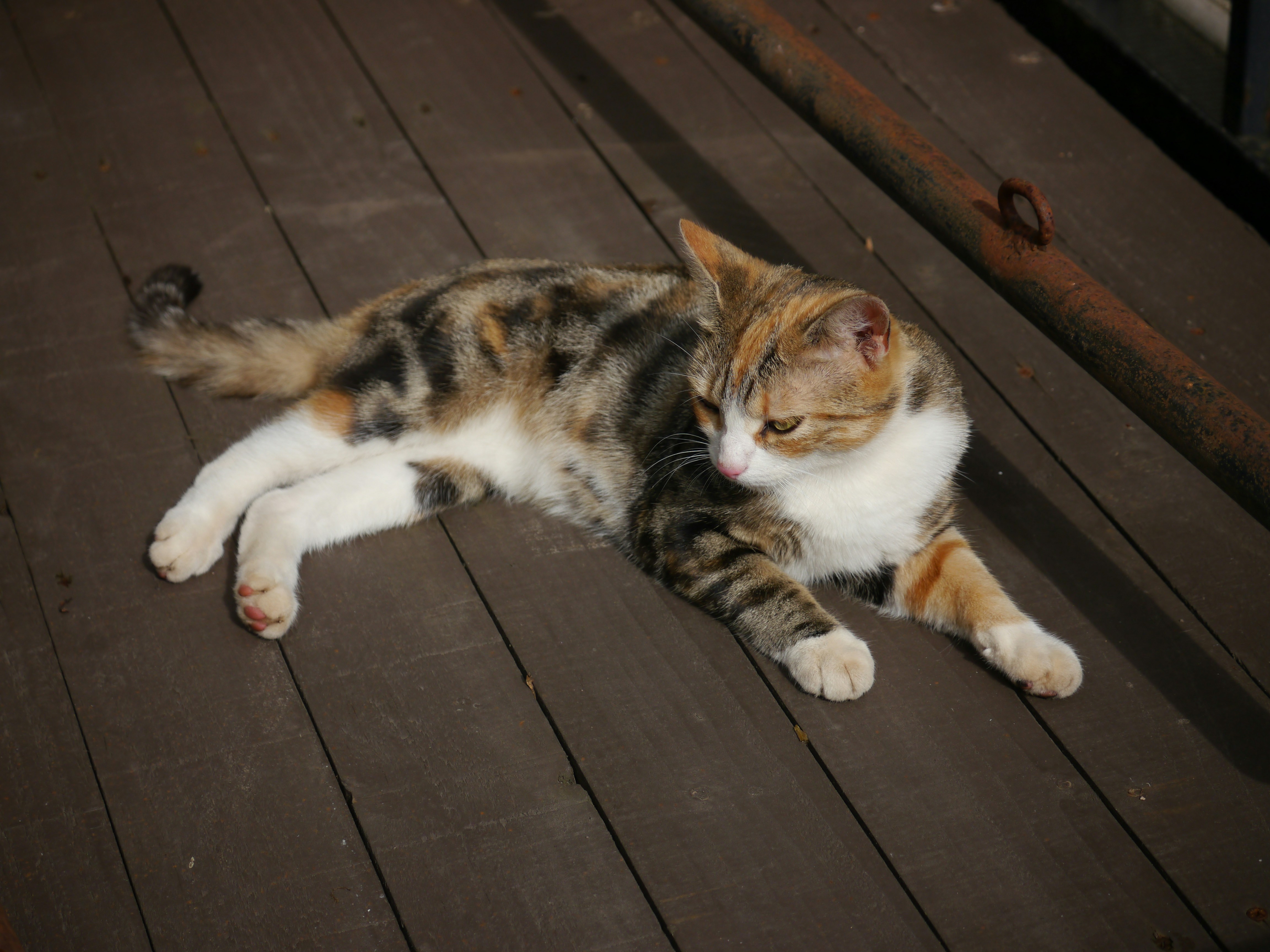 Photo by iqsphotography