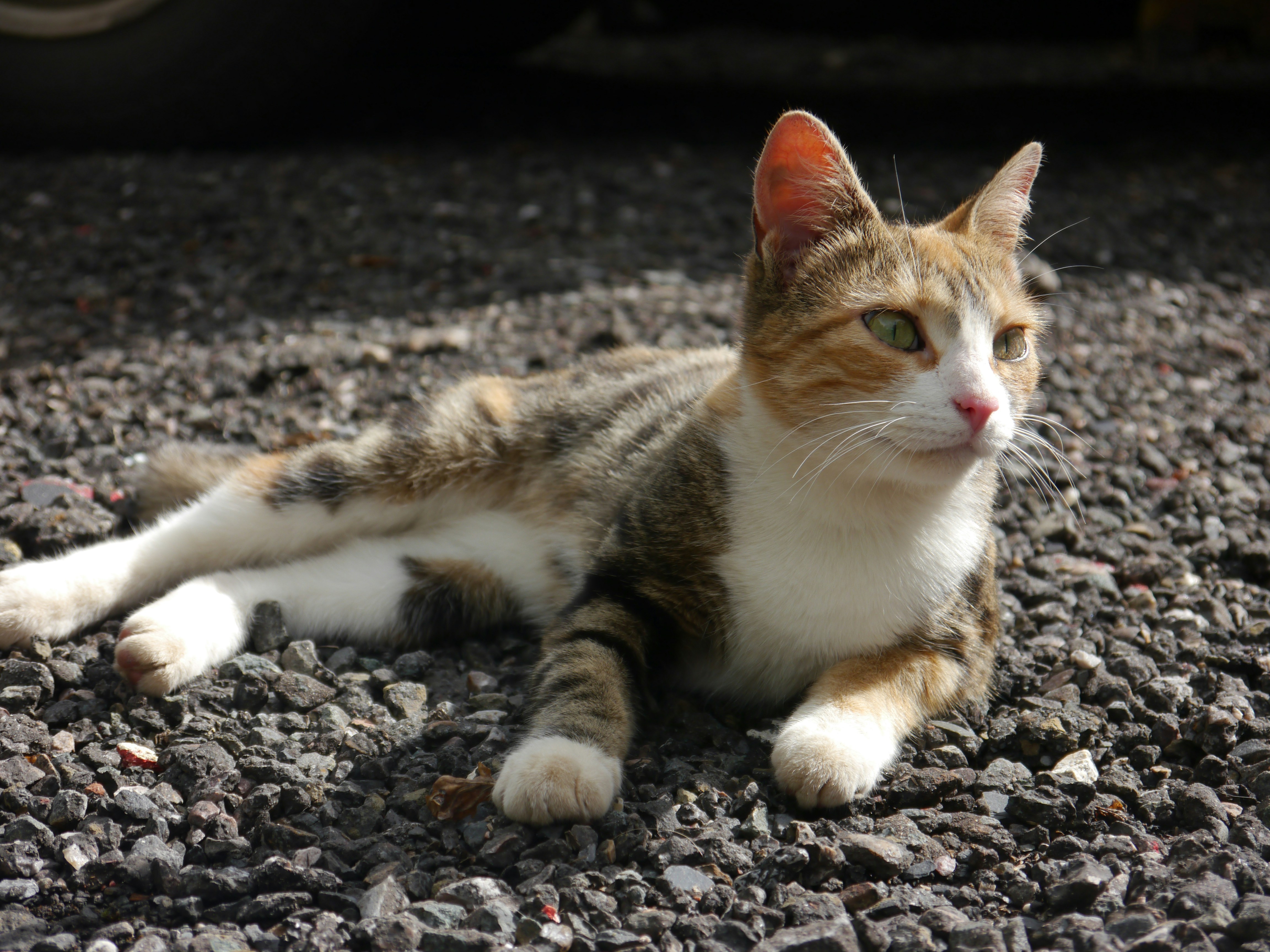 Photo by iqsphotography