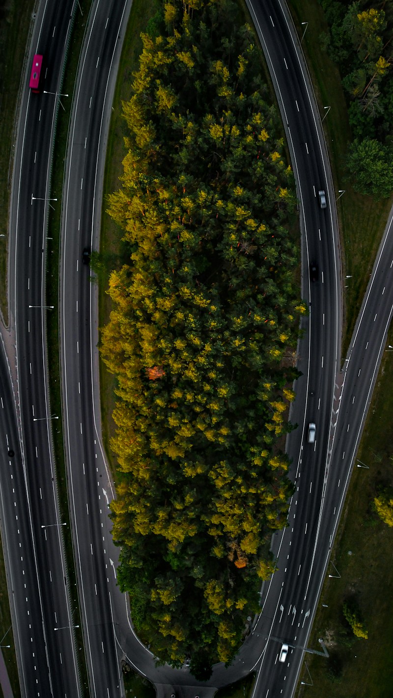 Road Alignment Staking