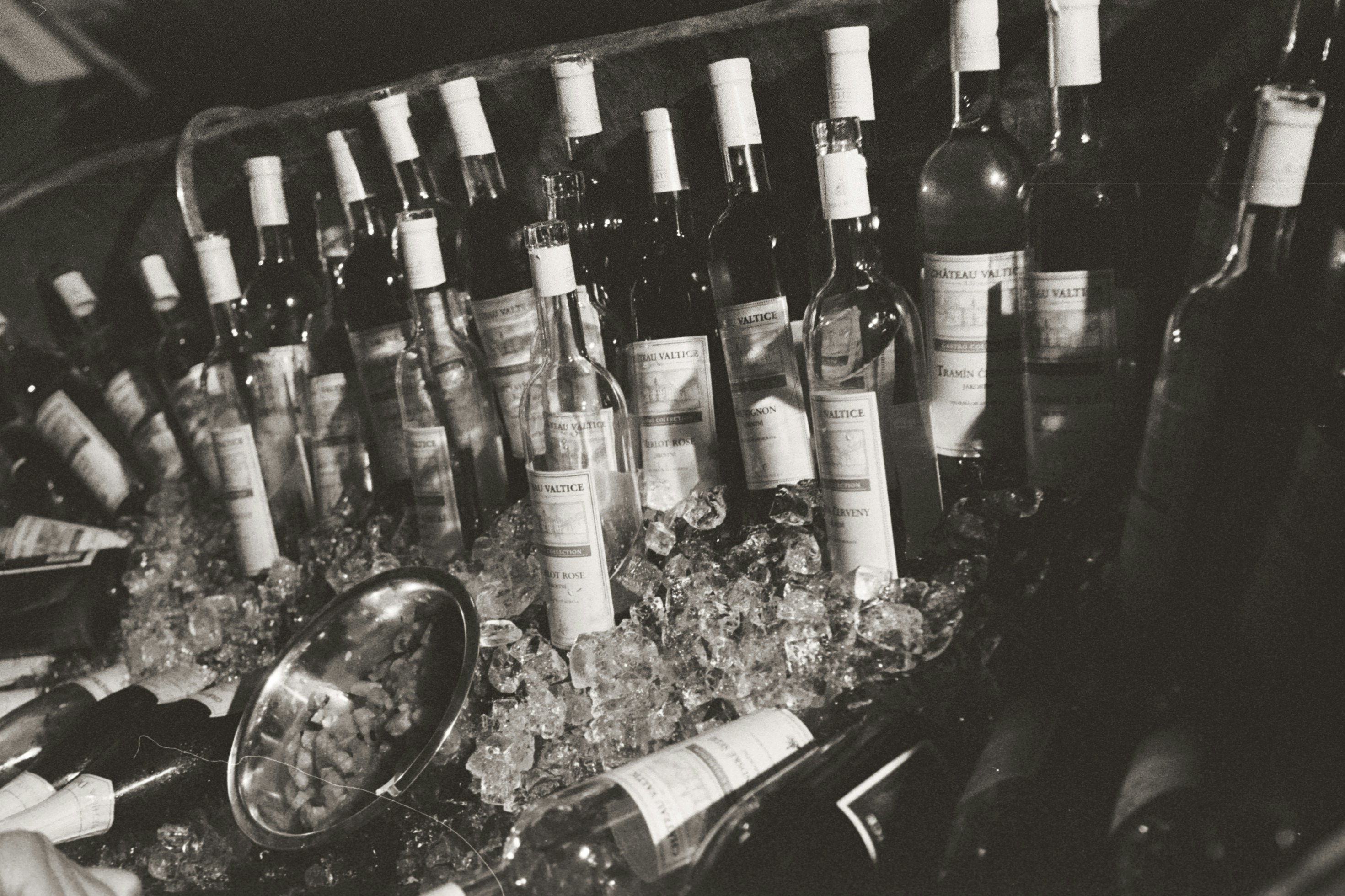 Photo by mcmortygreen