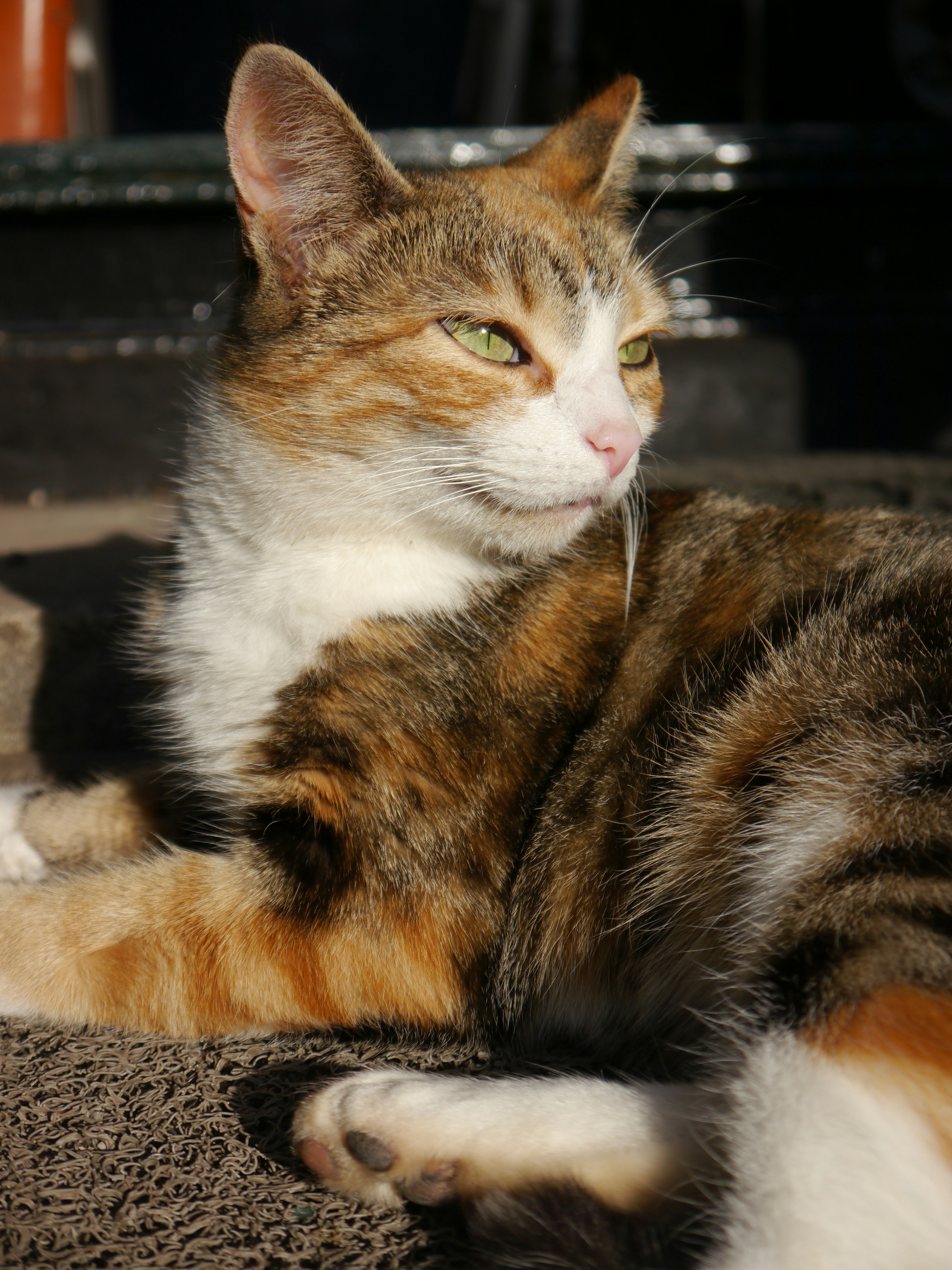 Photo by iqsphotography