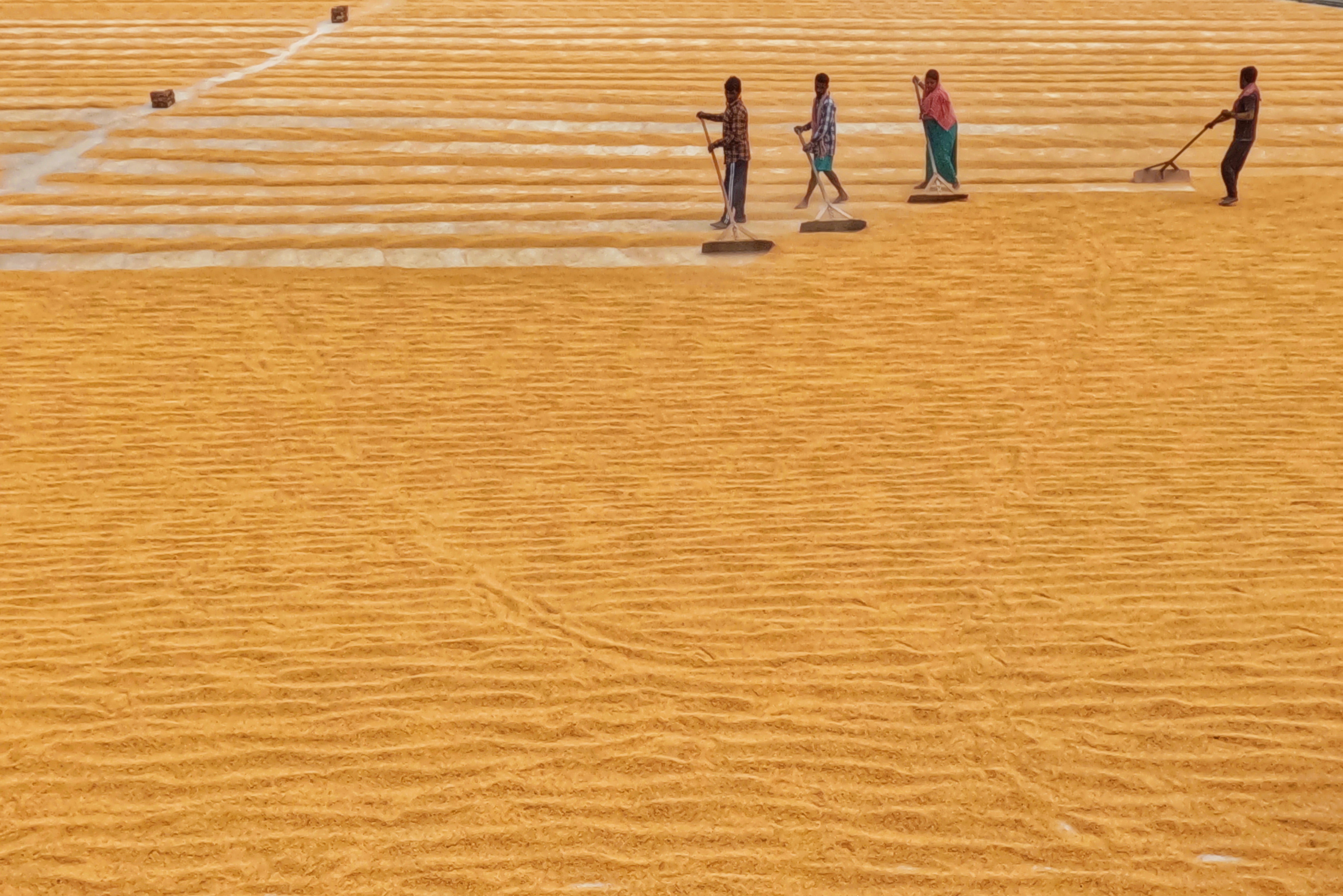 Photo by dibakar16roy