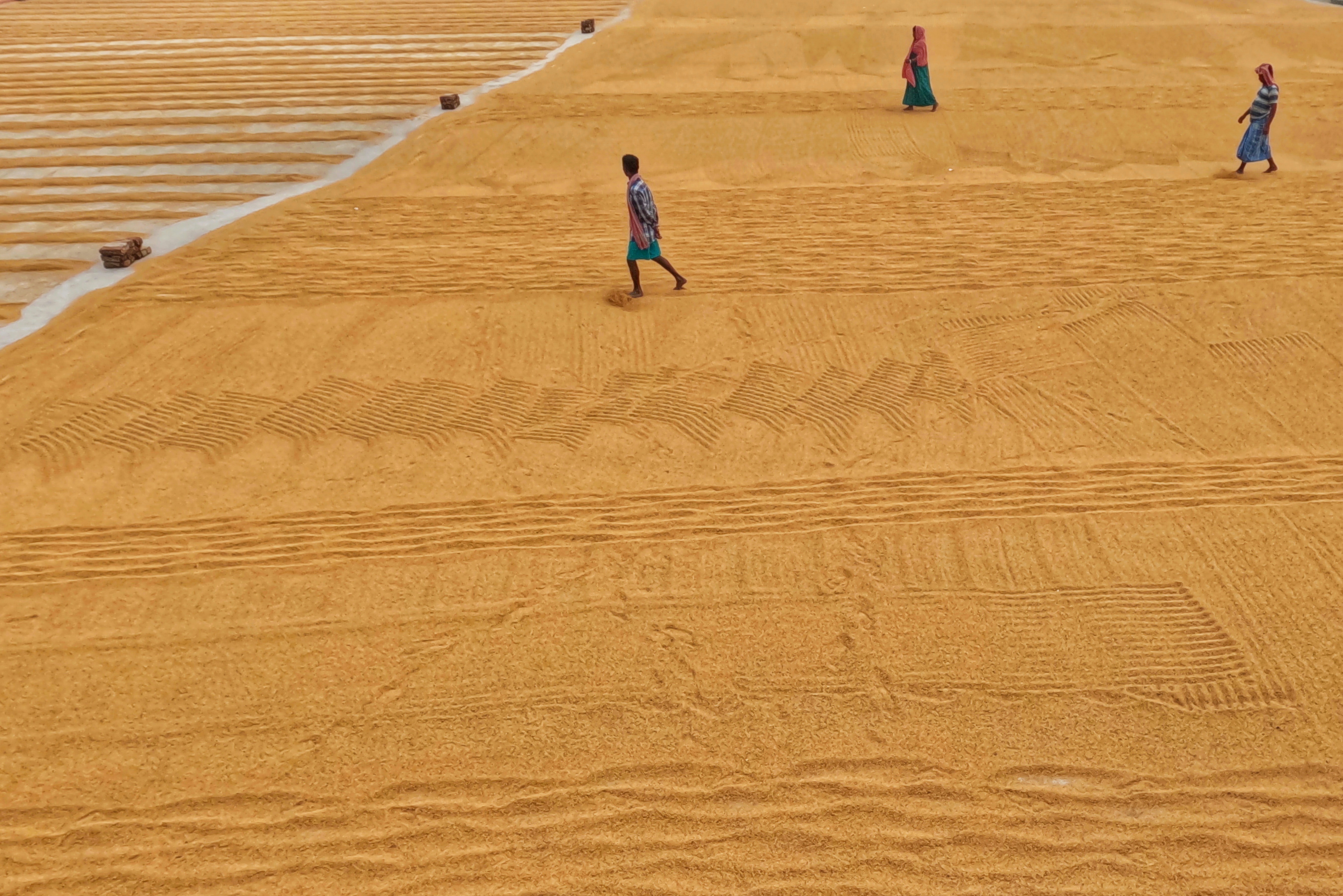 Photo by dibakar16roy