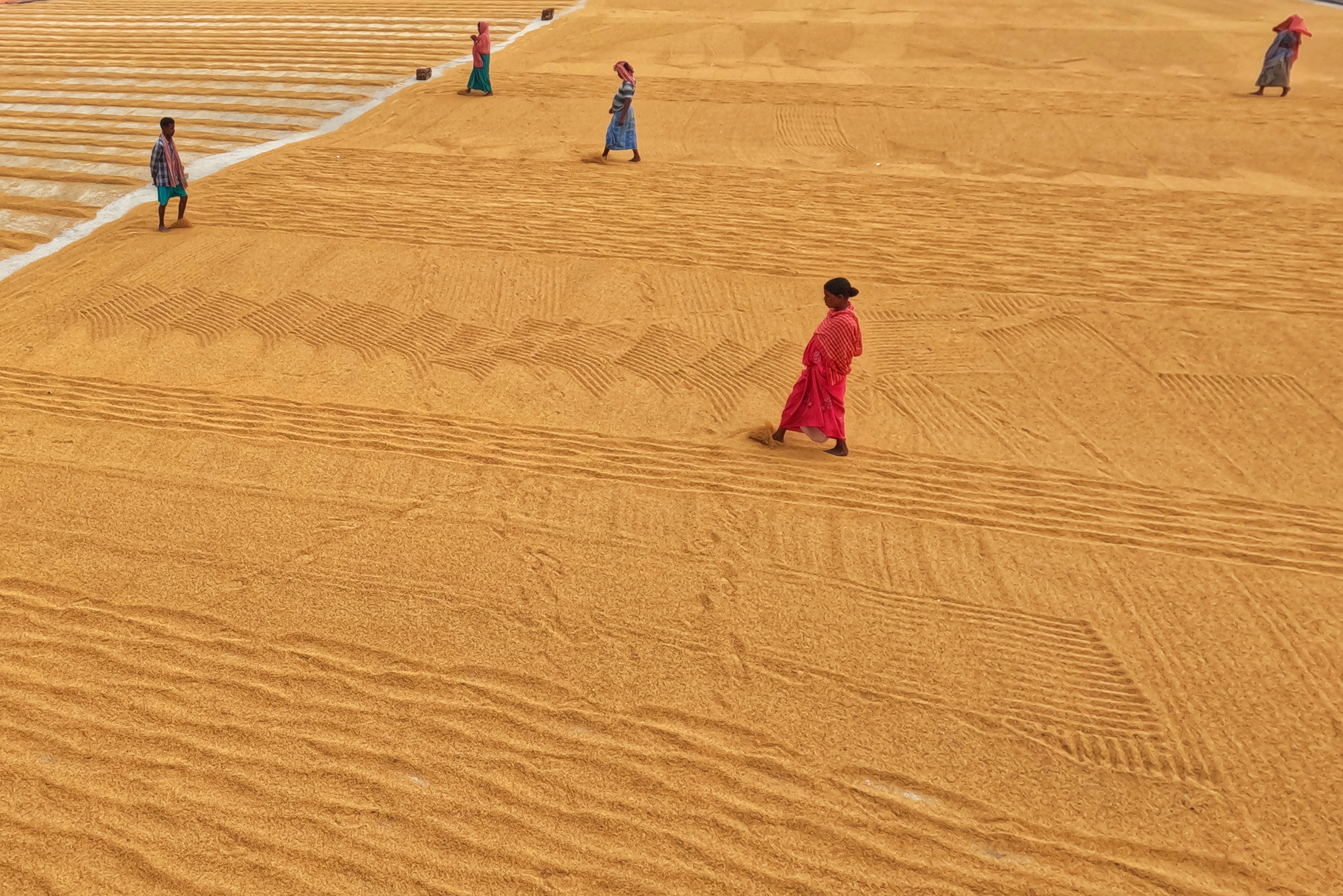 Photo by dibakar16roy