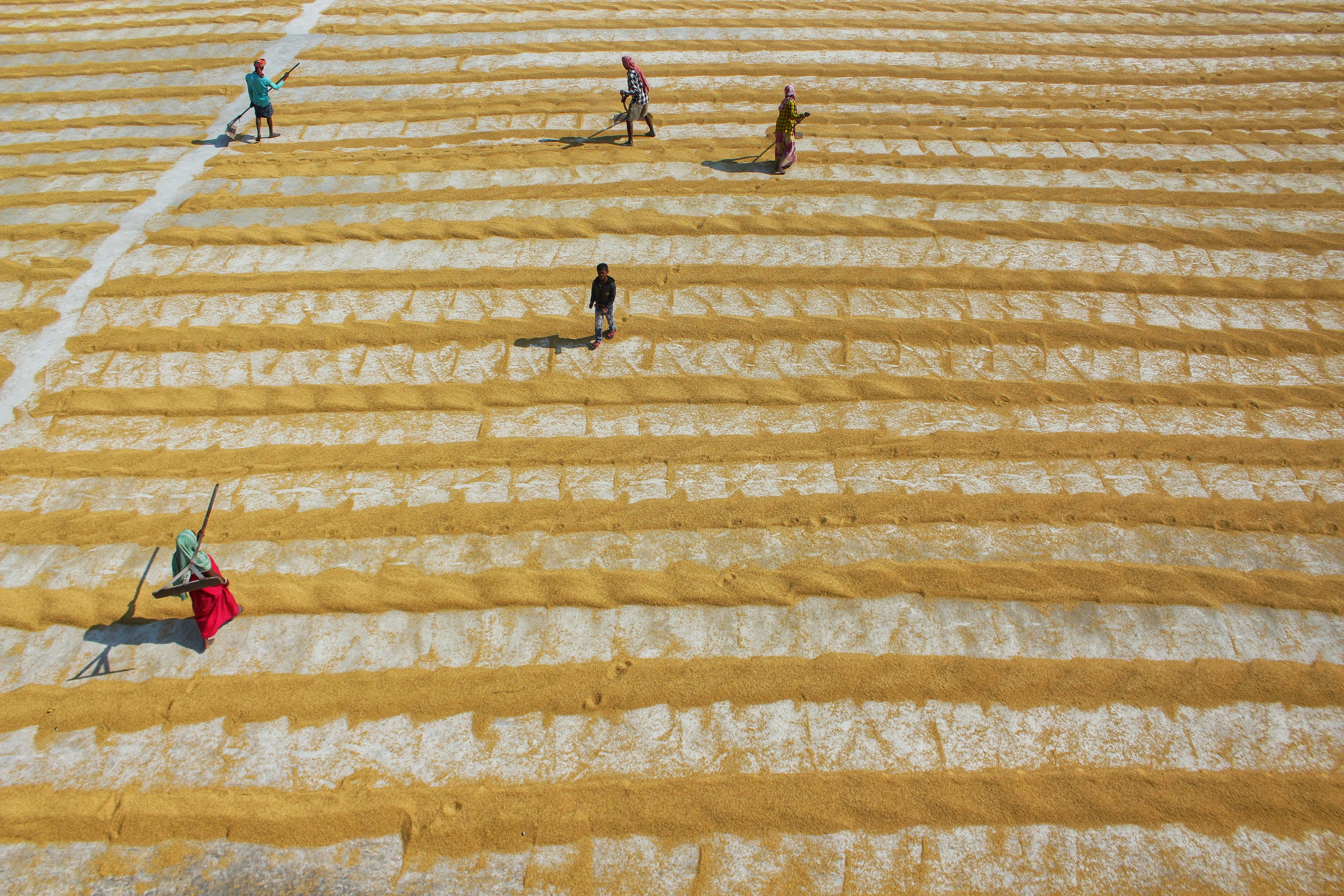 Photo by dibakar16roy