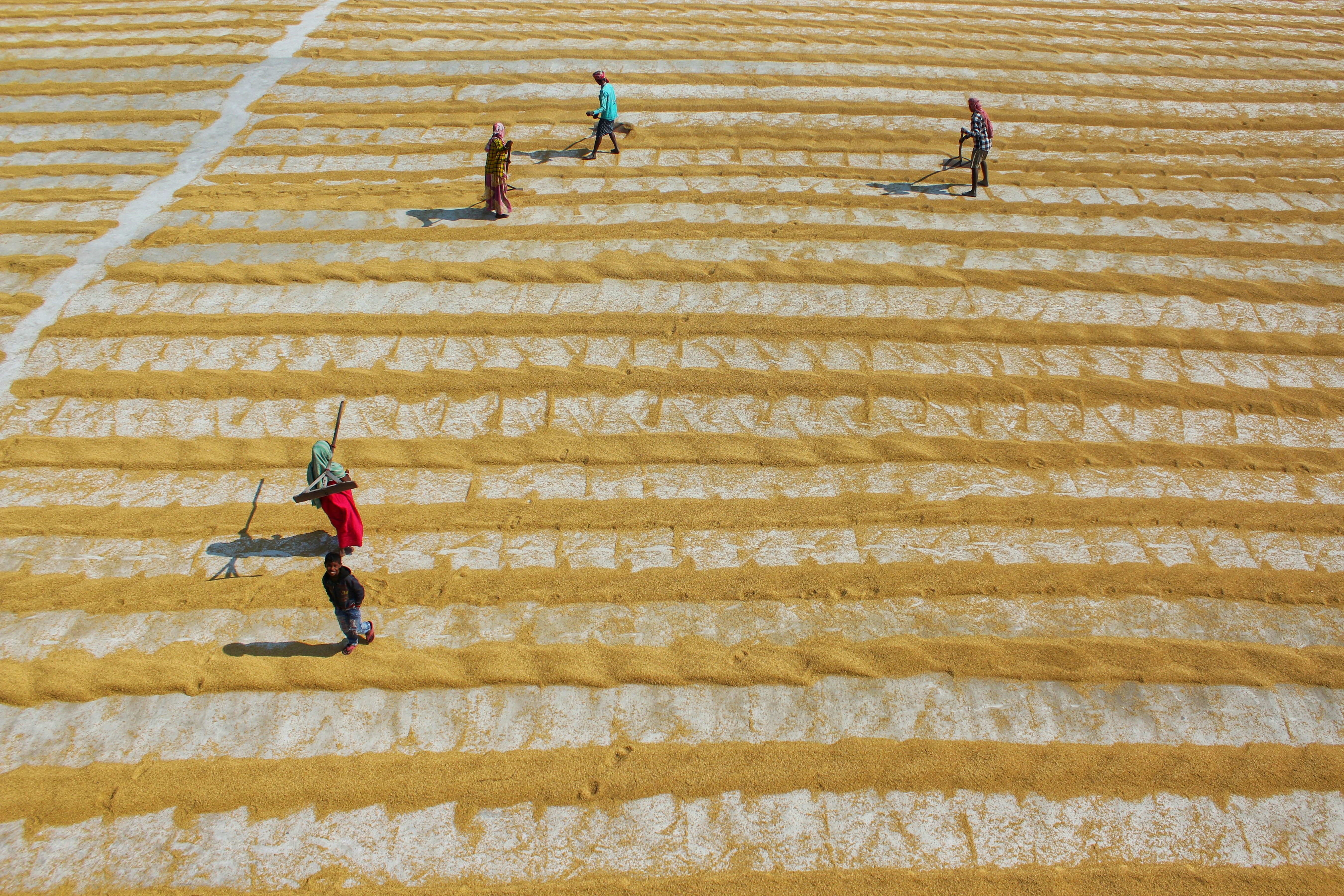 Photo by dibakar16roy