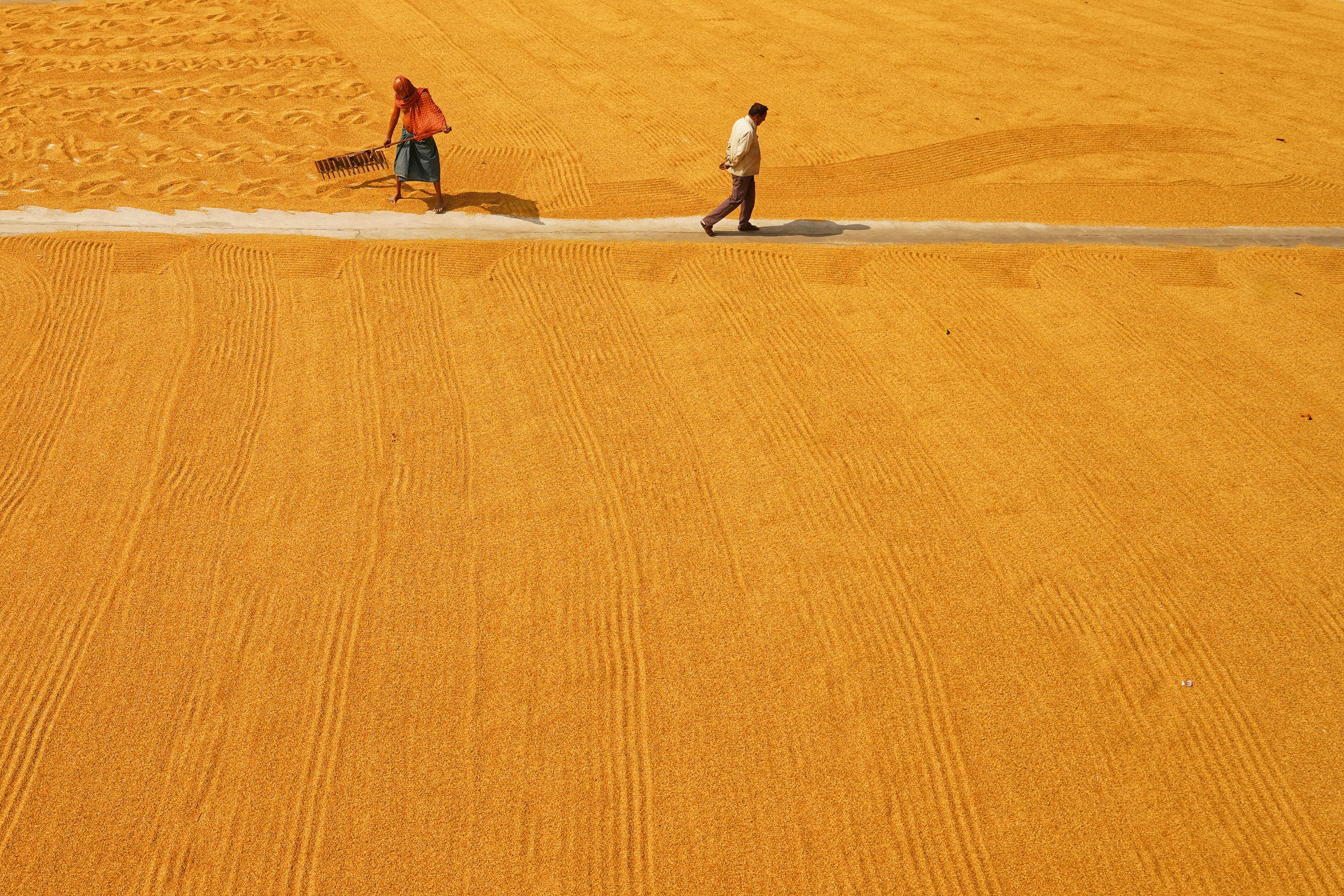 Photo by dibakar16roy