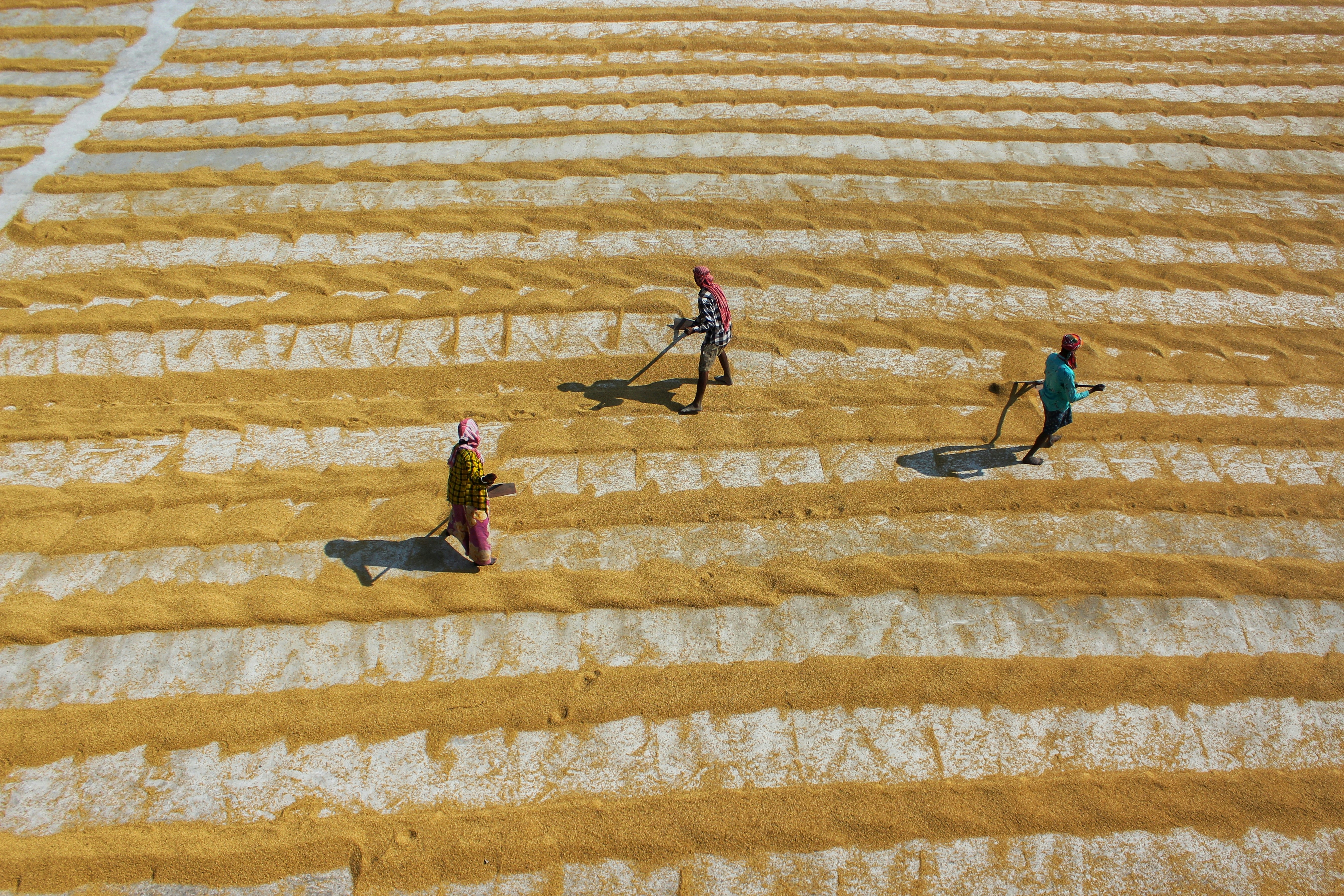 Photo by dibakar16roy