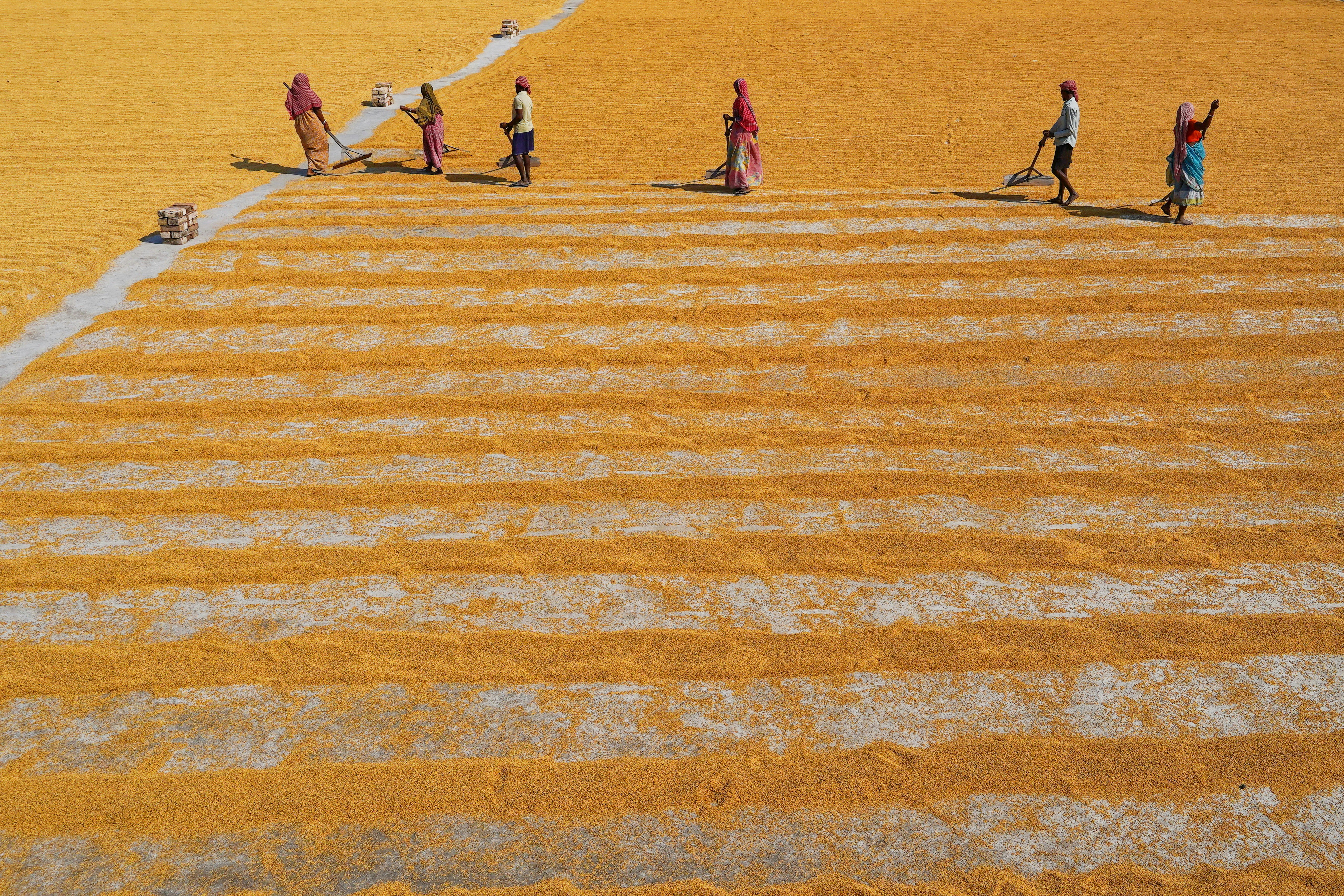 Photo by dibakar16roy