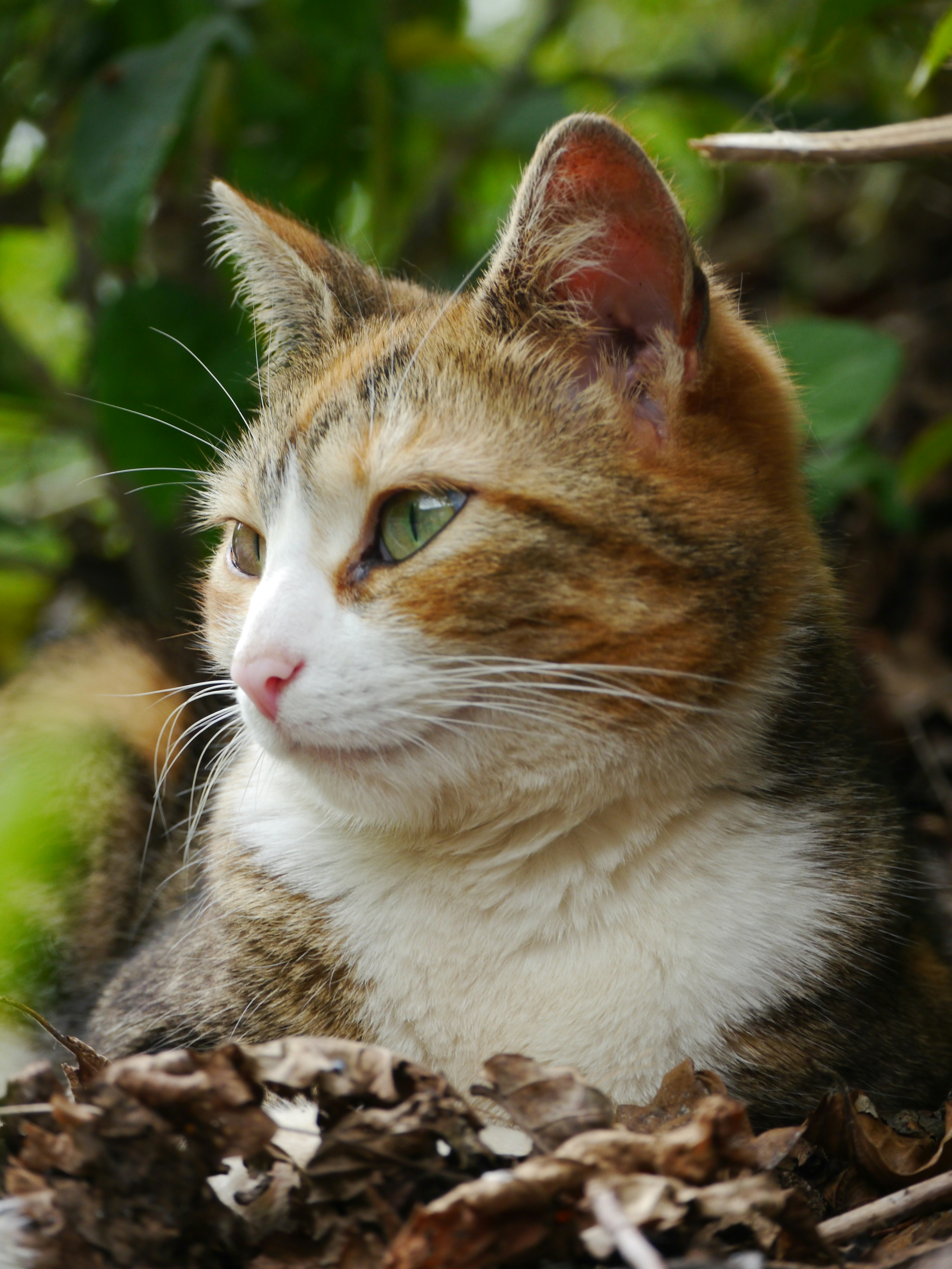 Photo by iqsphotography