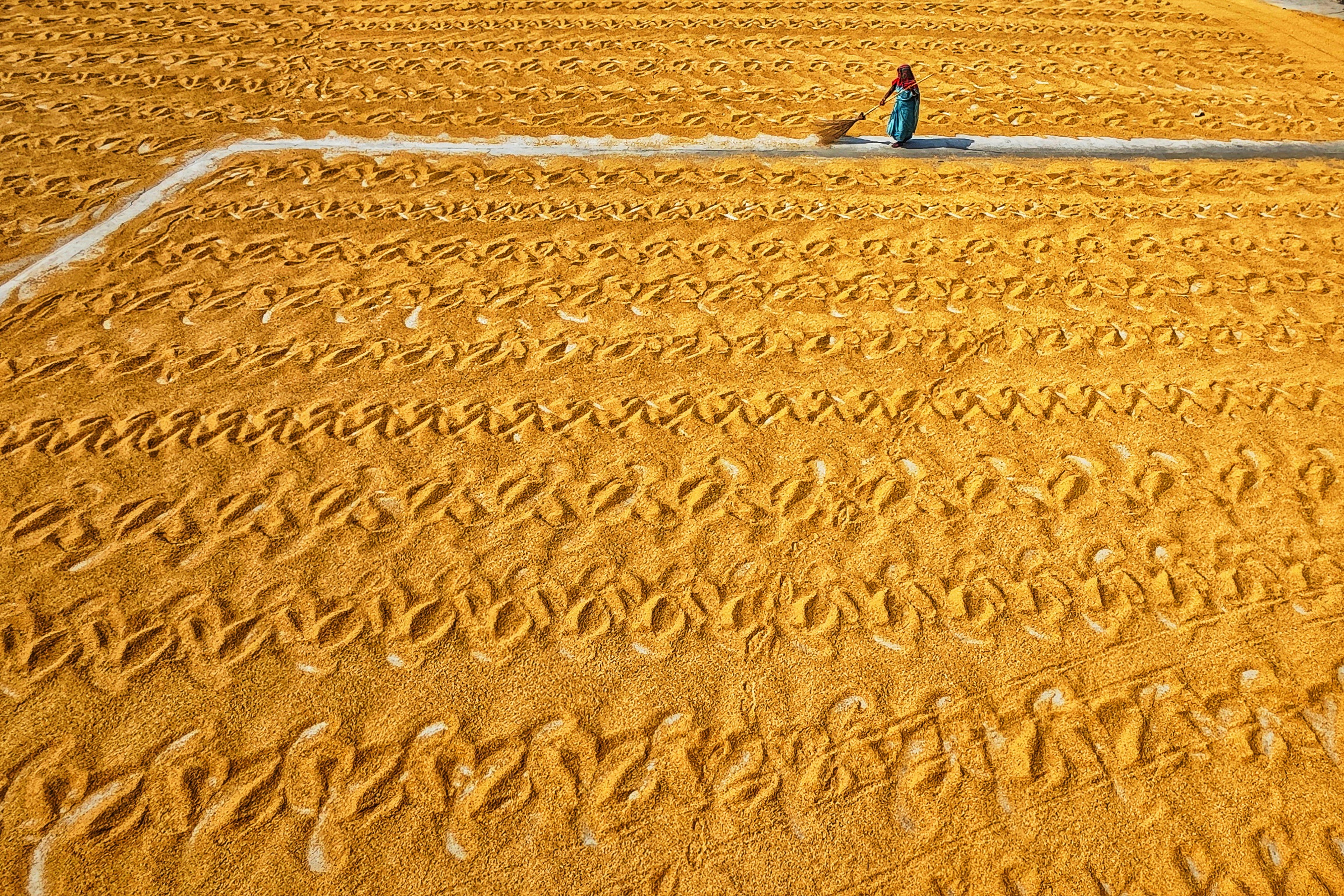 Photo by dibakar16roy