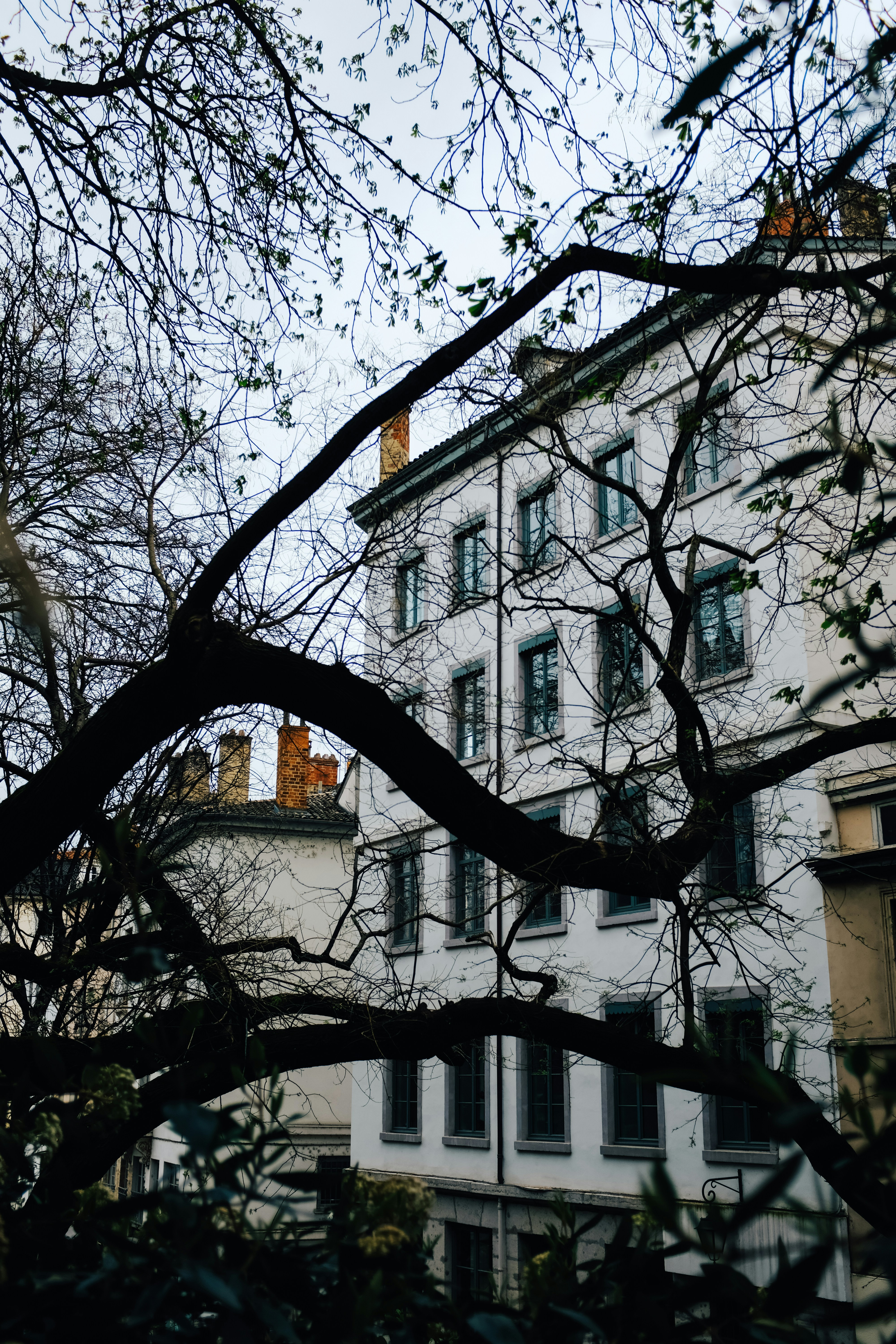 Photo by adrienolichon
