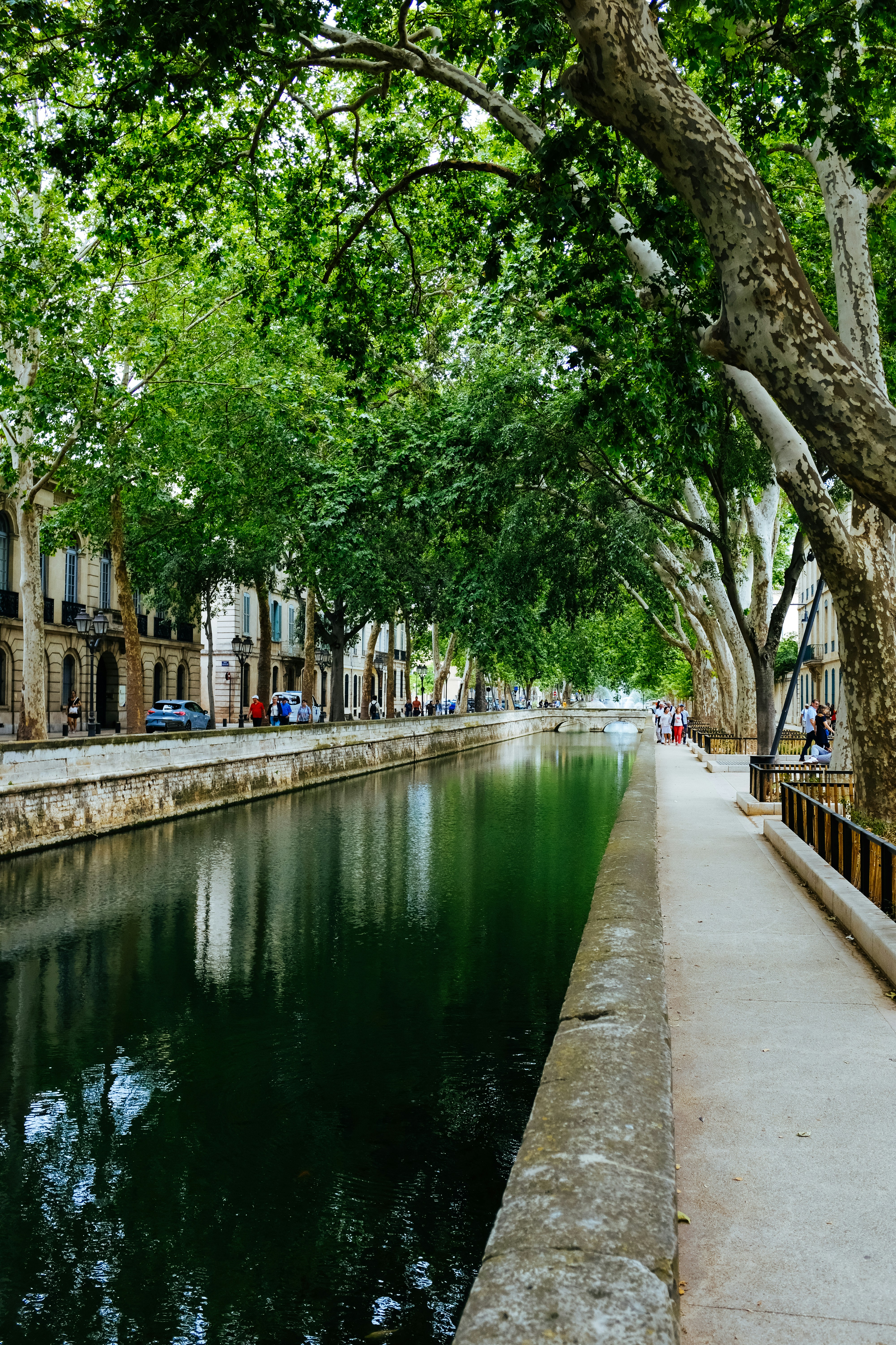 Photo by adrienolichon