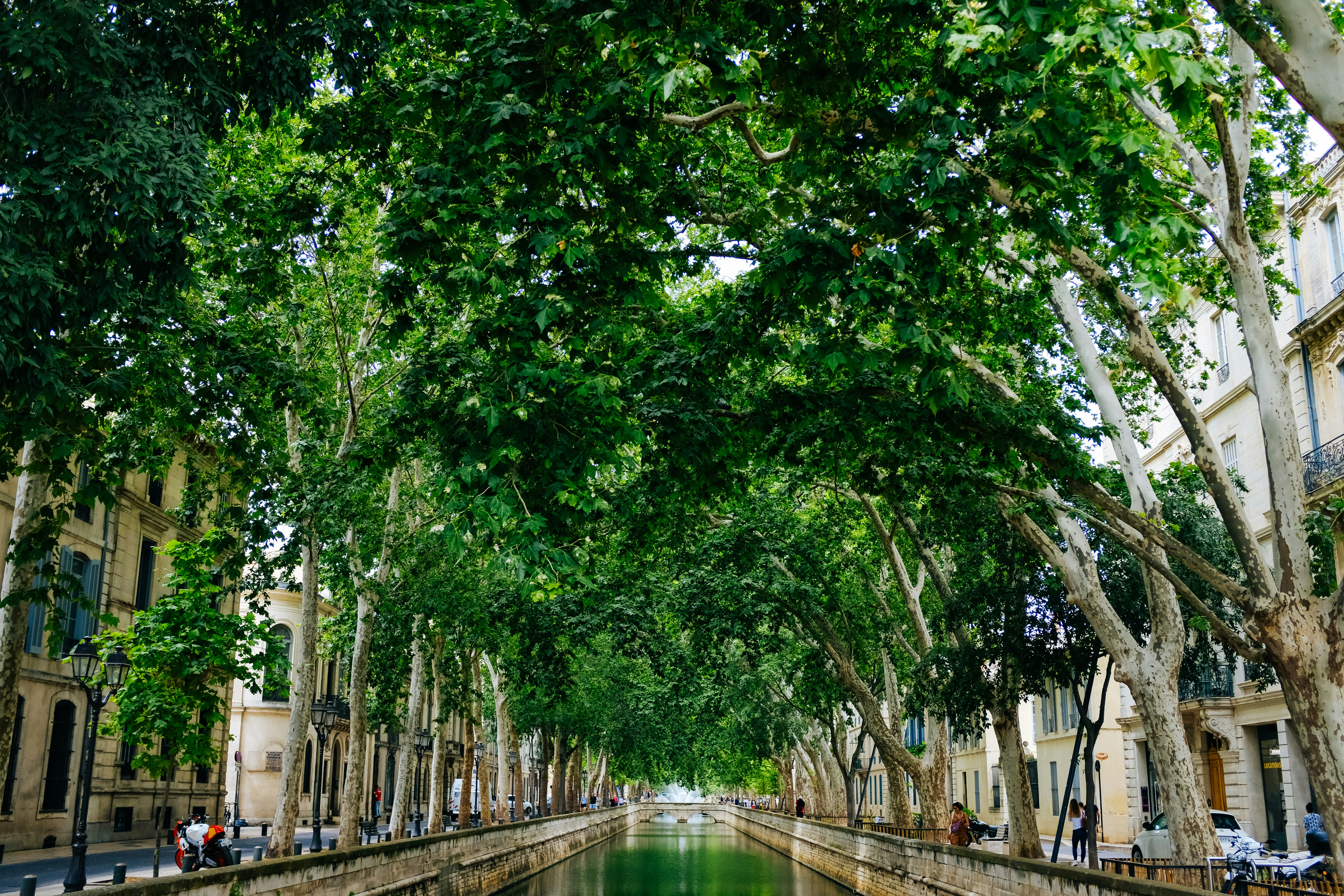 Photo by adrienolichon