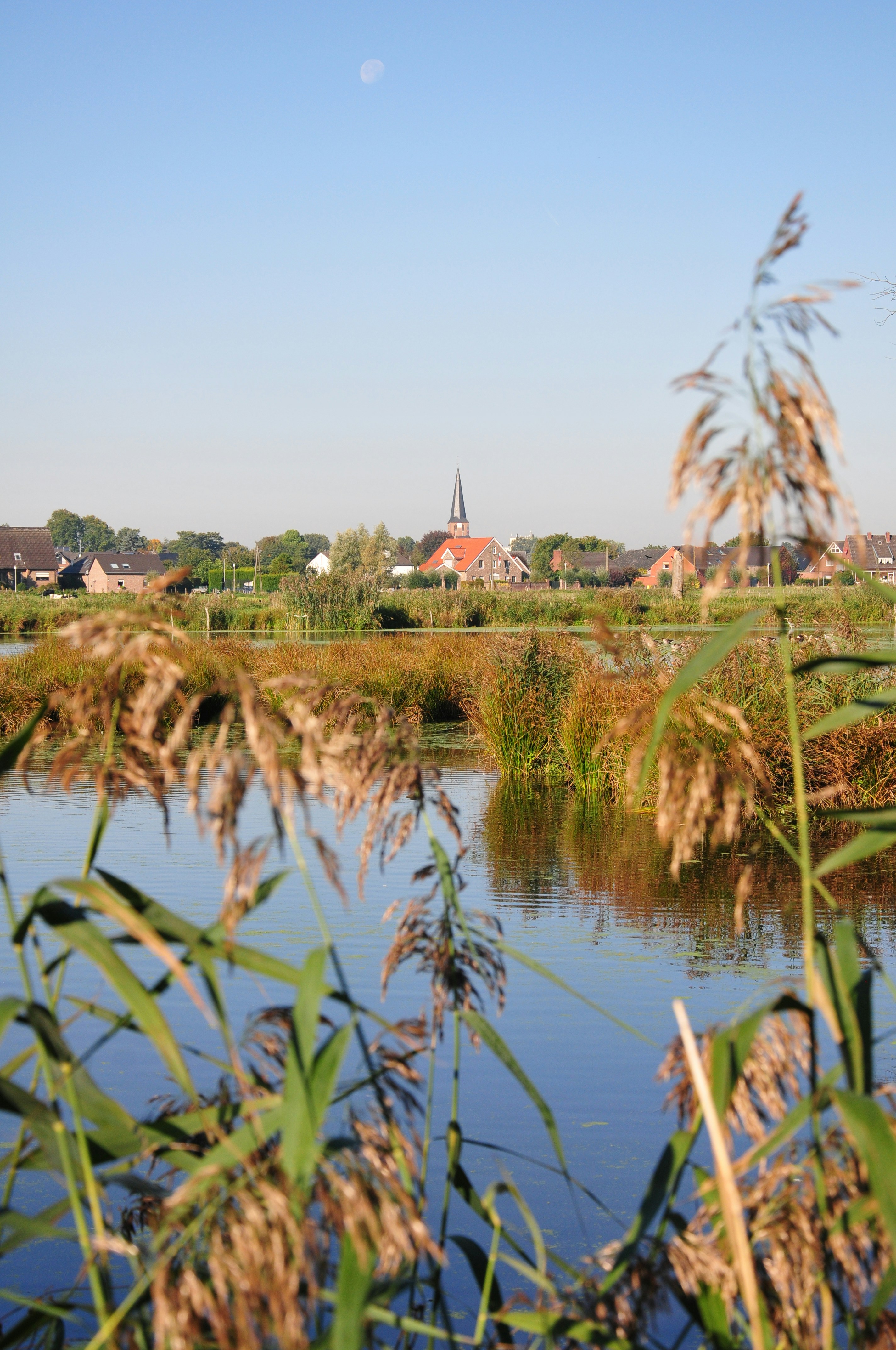 Photo by thomaslohmann