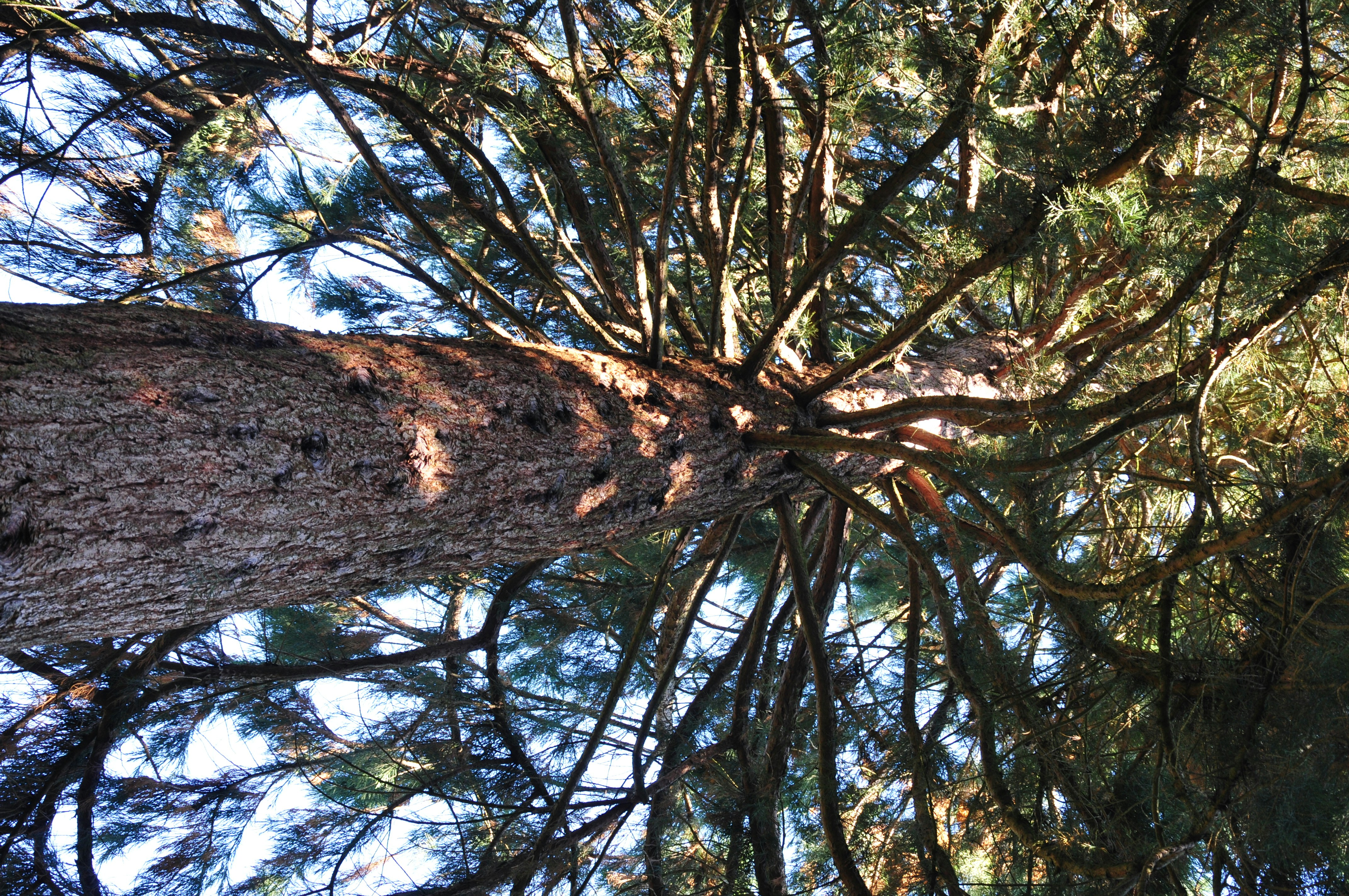 Photo by thomaslohmann